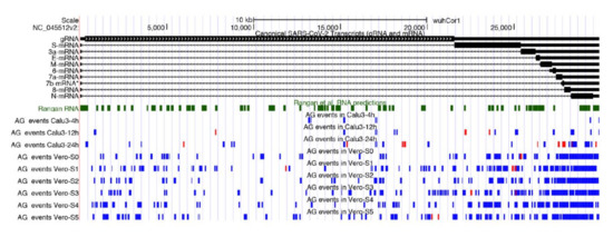 Detection of A-to-I RNA Editing in SARS-COV-2