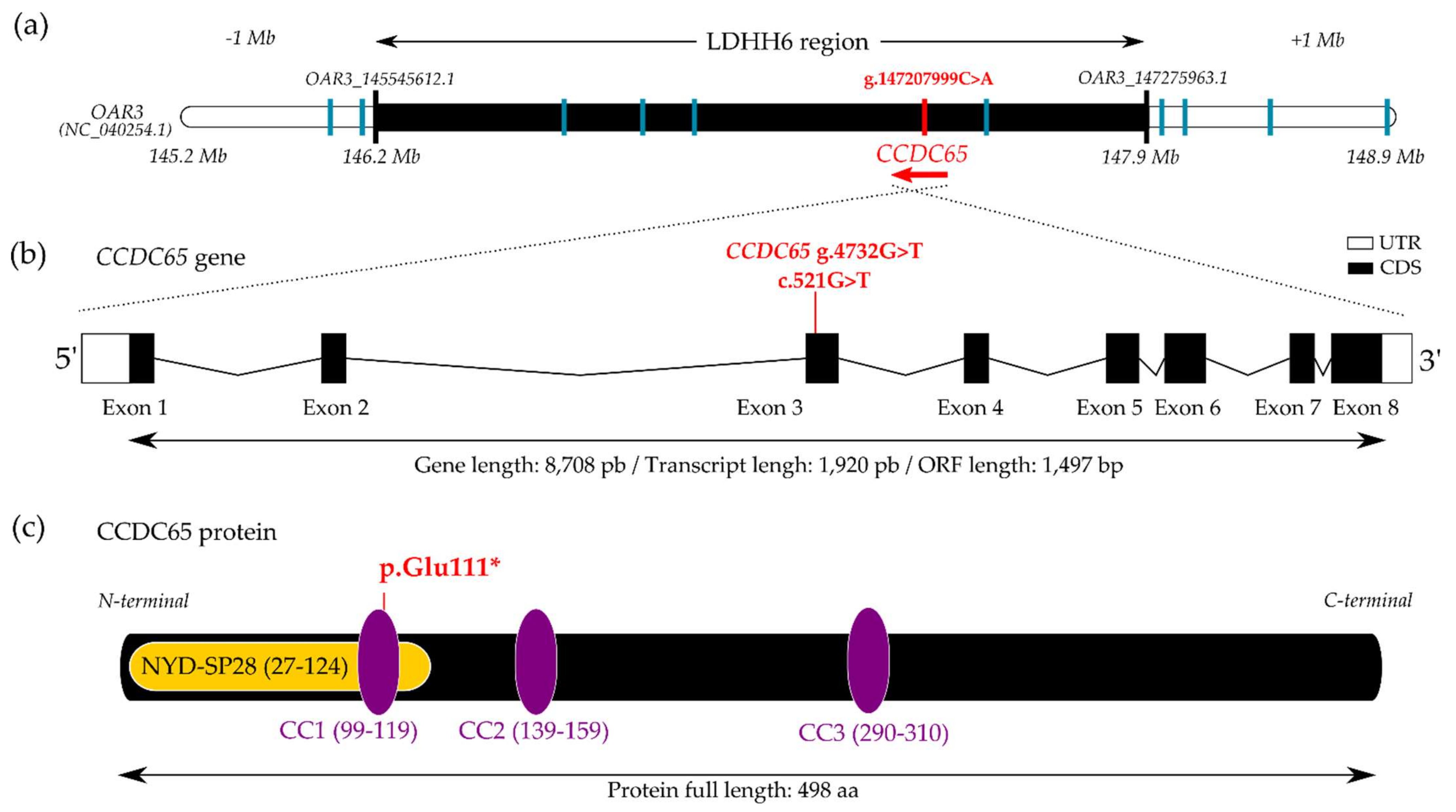Genes 13 00045 g001 Genes 13 00045 g001