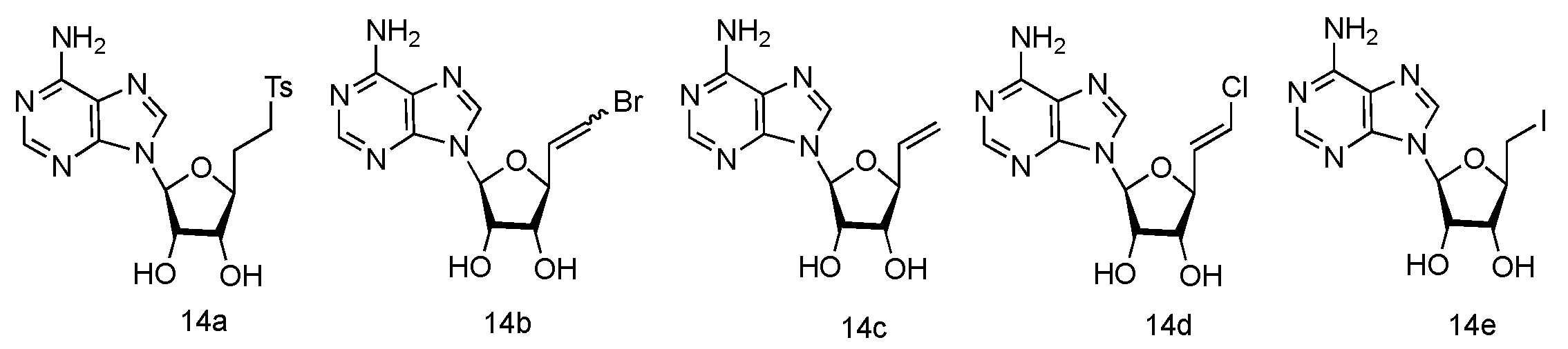 Genes 13 00046 g010 550