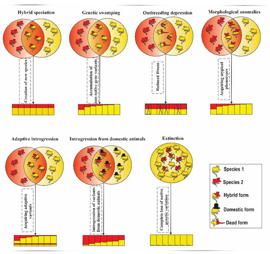 アシュフォード Consequences of Hybridization in Mammals: A Systematic Review