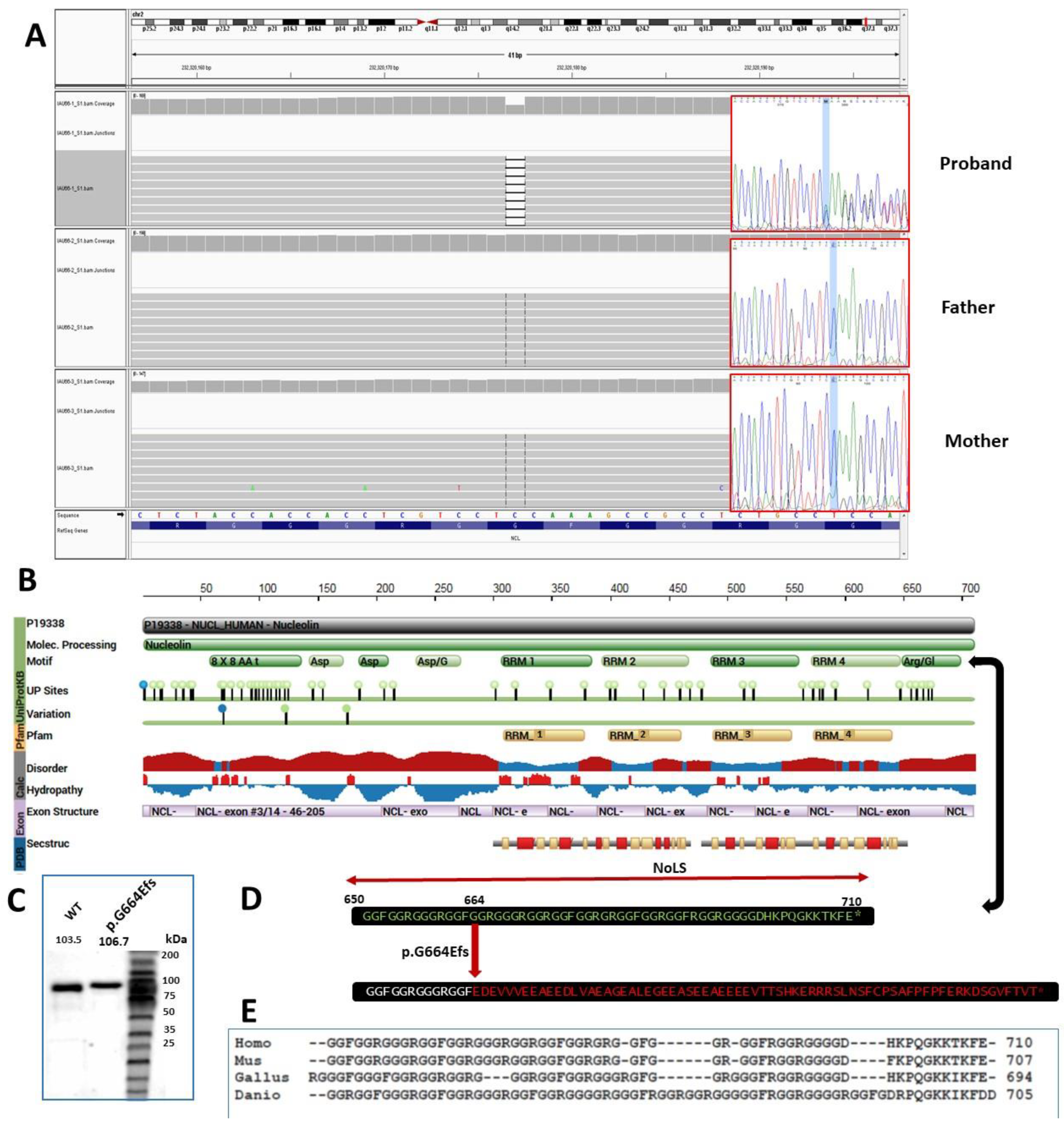 Genes 13 00051 g001 550