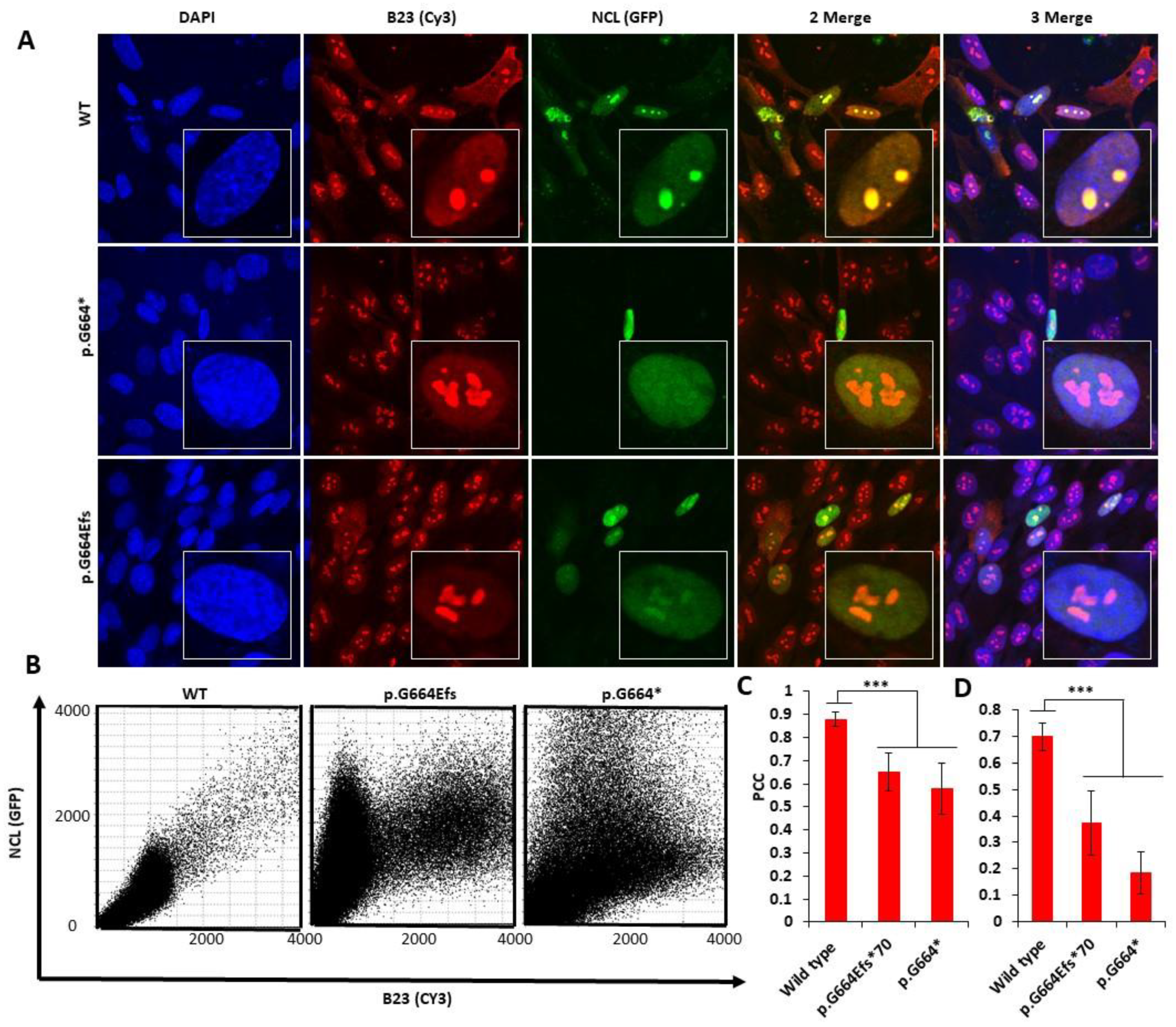 Genes 13 00051 g002 550
