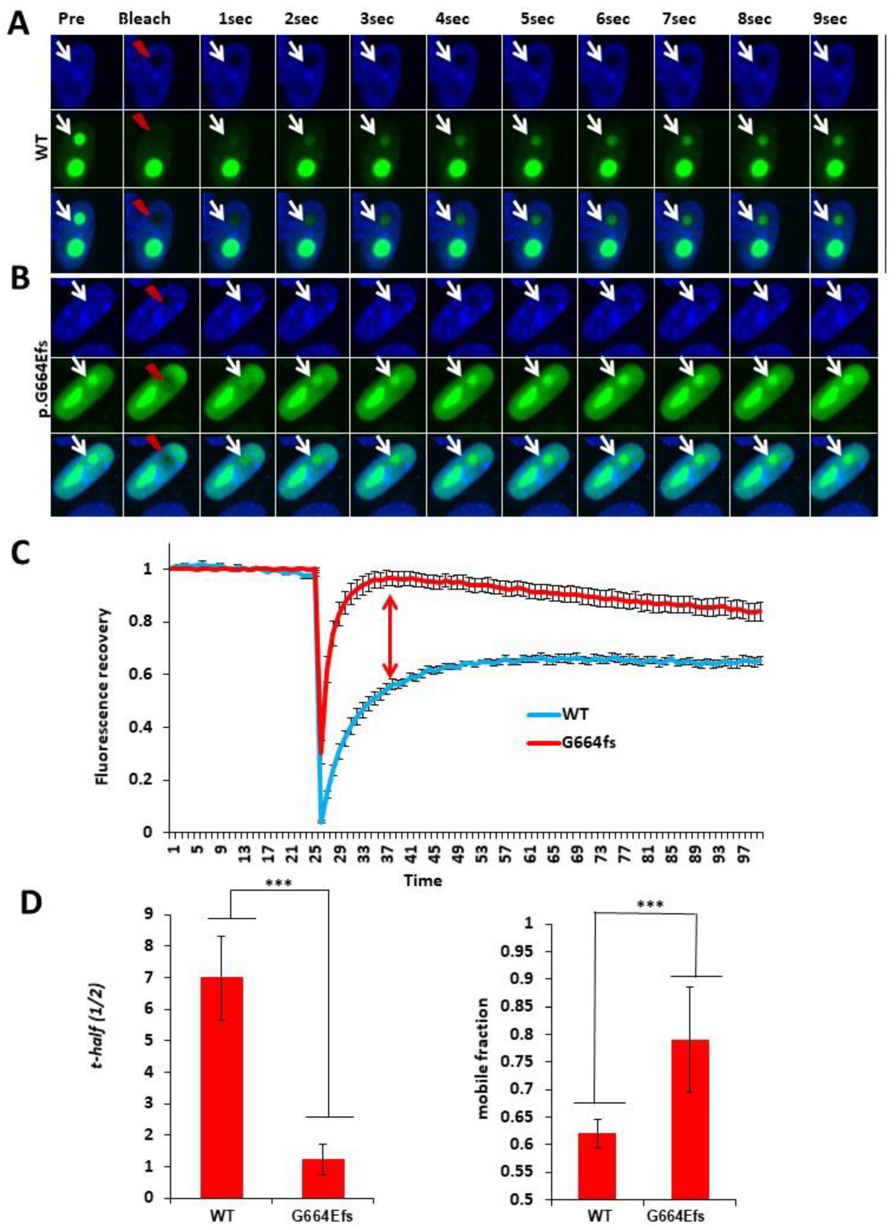 Genes 13 00051 g003 550