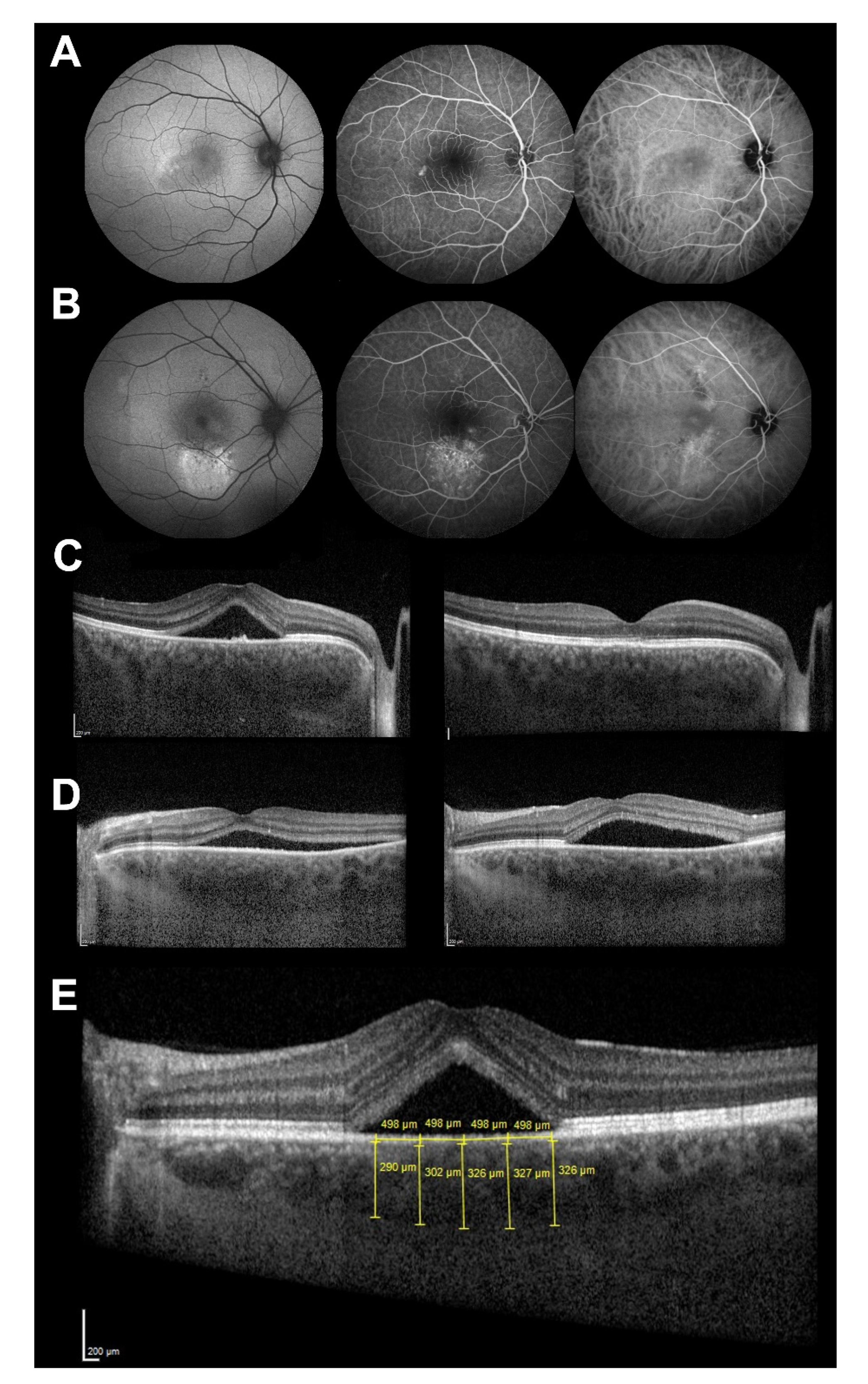 Genes 13 00055 g001 Genes 13 00055 g001
