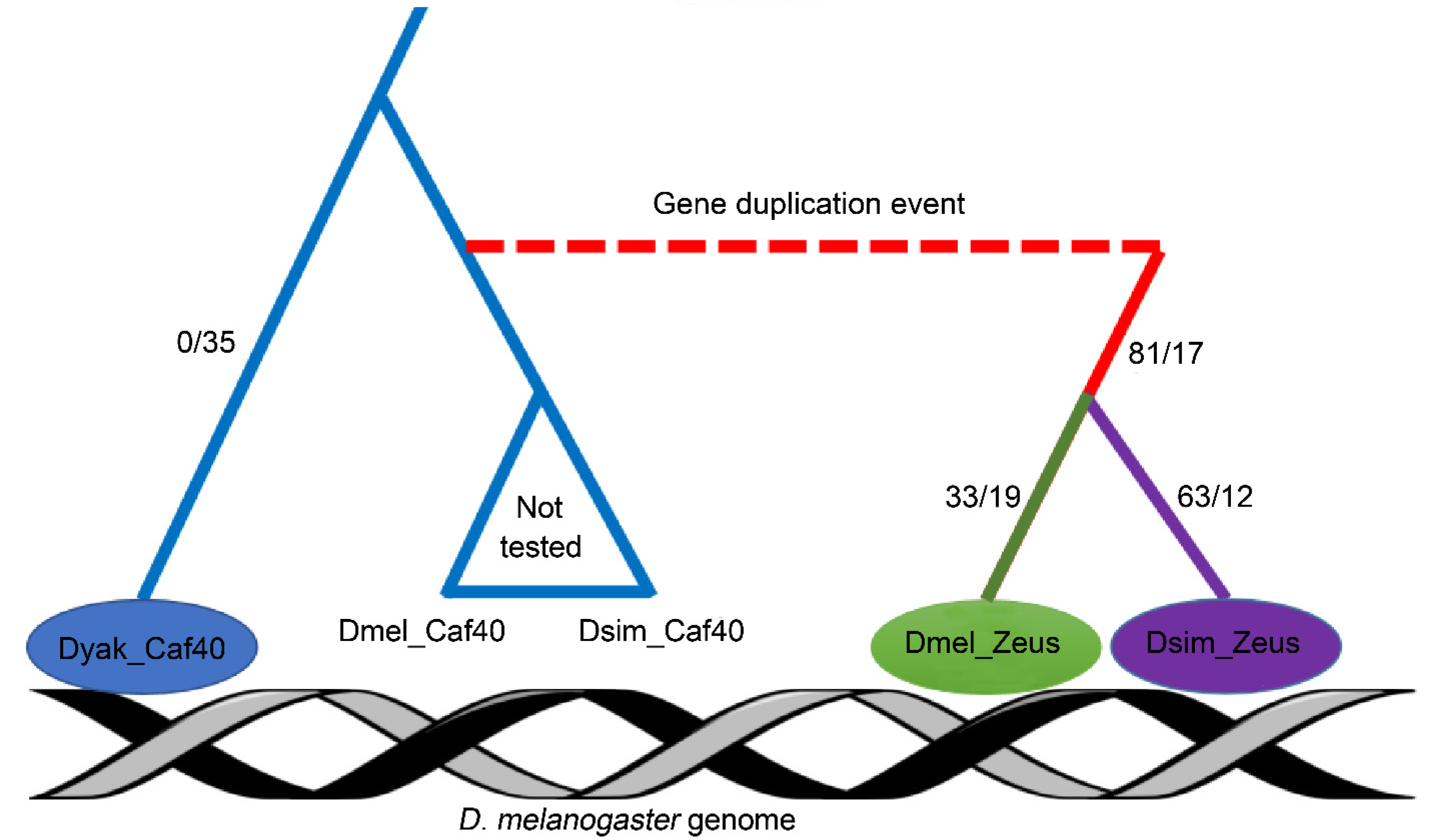 Genes 13 00057 g001 Genes 13 00057 g001