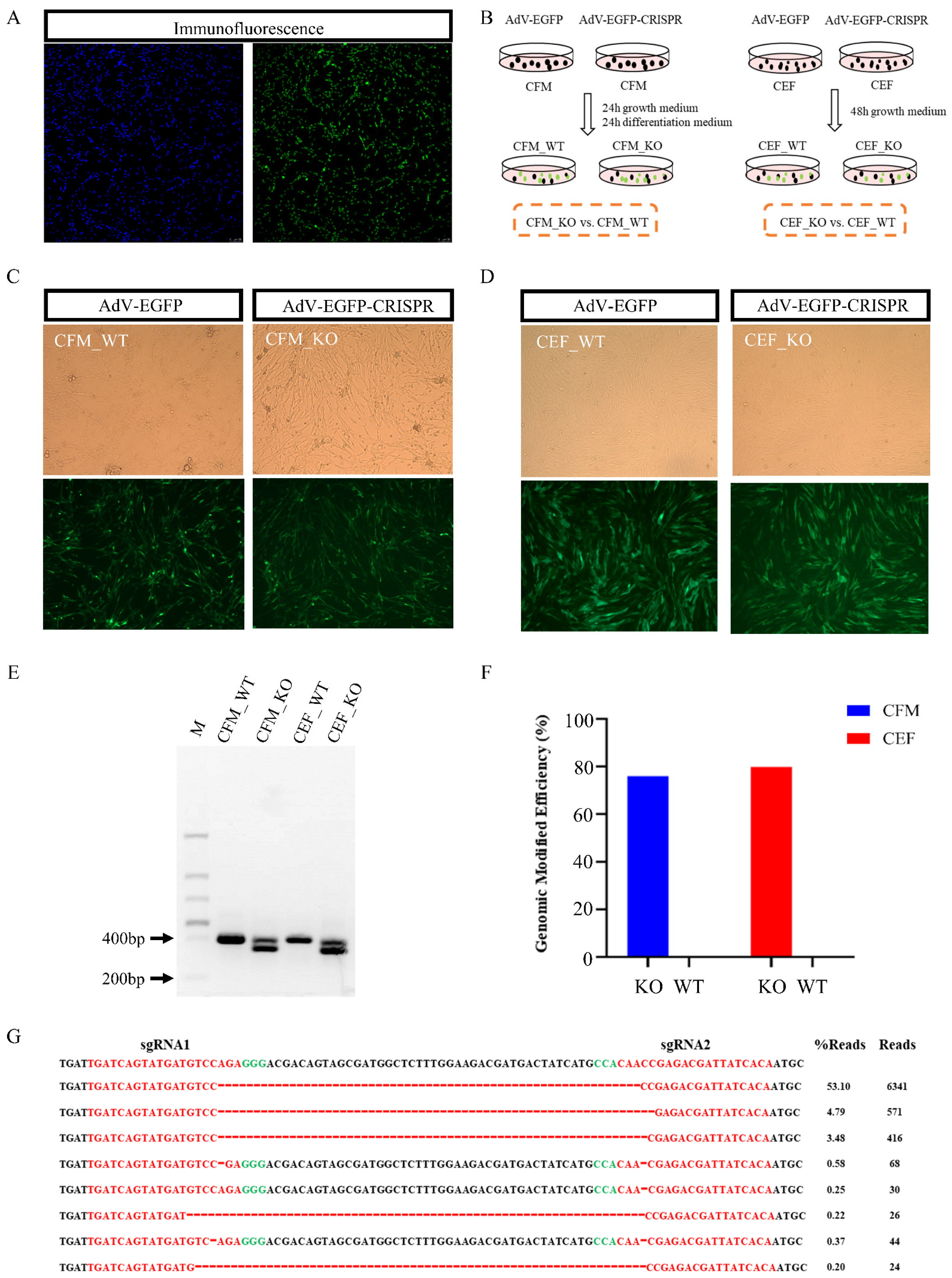 Genes 13 00058 g001 Genes 13 00058 g001
