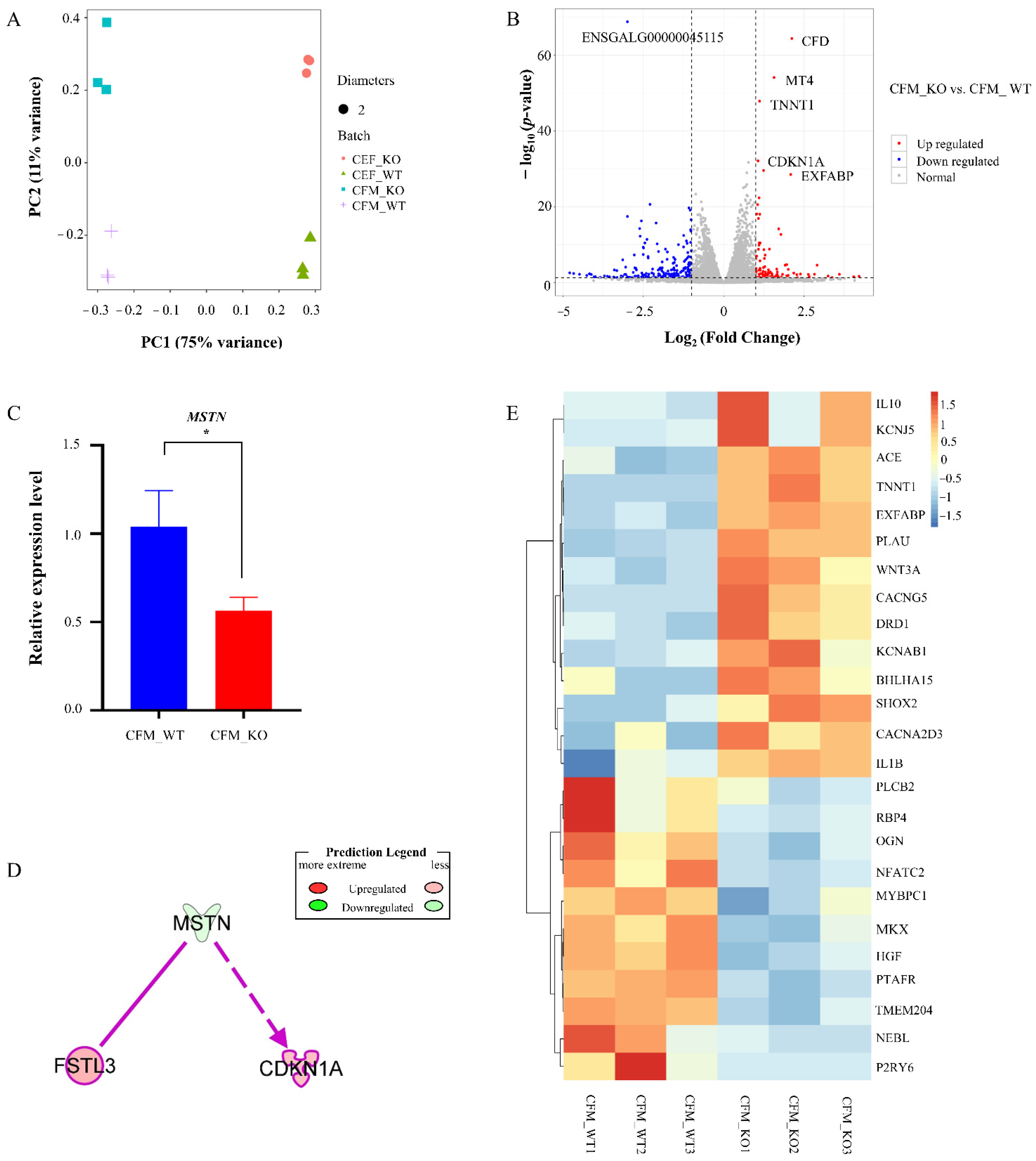 Genes 13 00058 g002 Genes 13 00058 g002