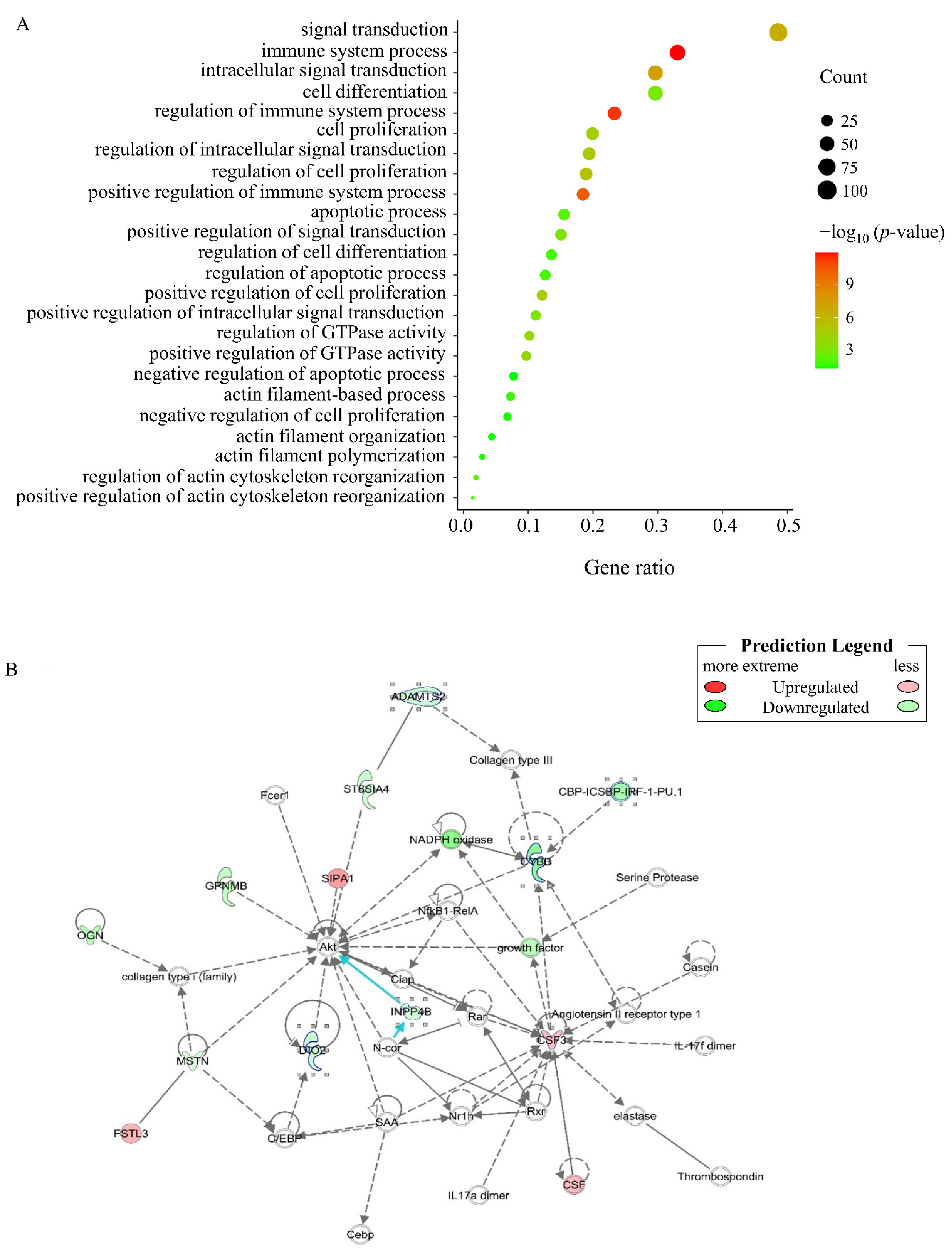 Genes 13 00058 g003 Genes 13 00058 g003