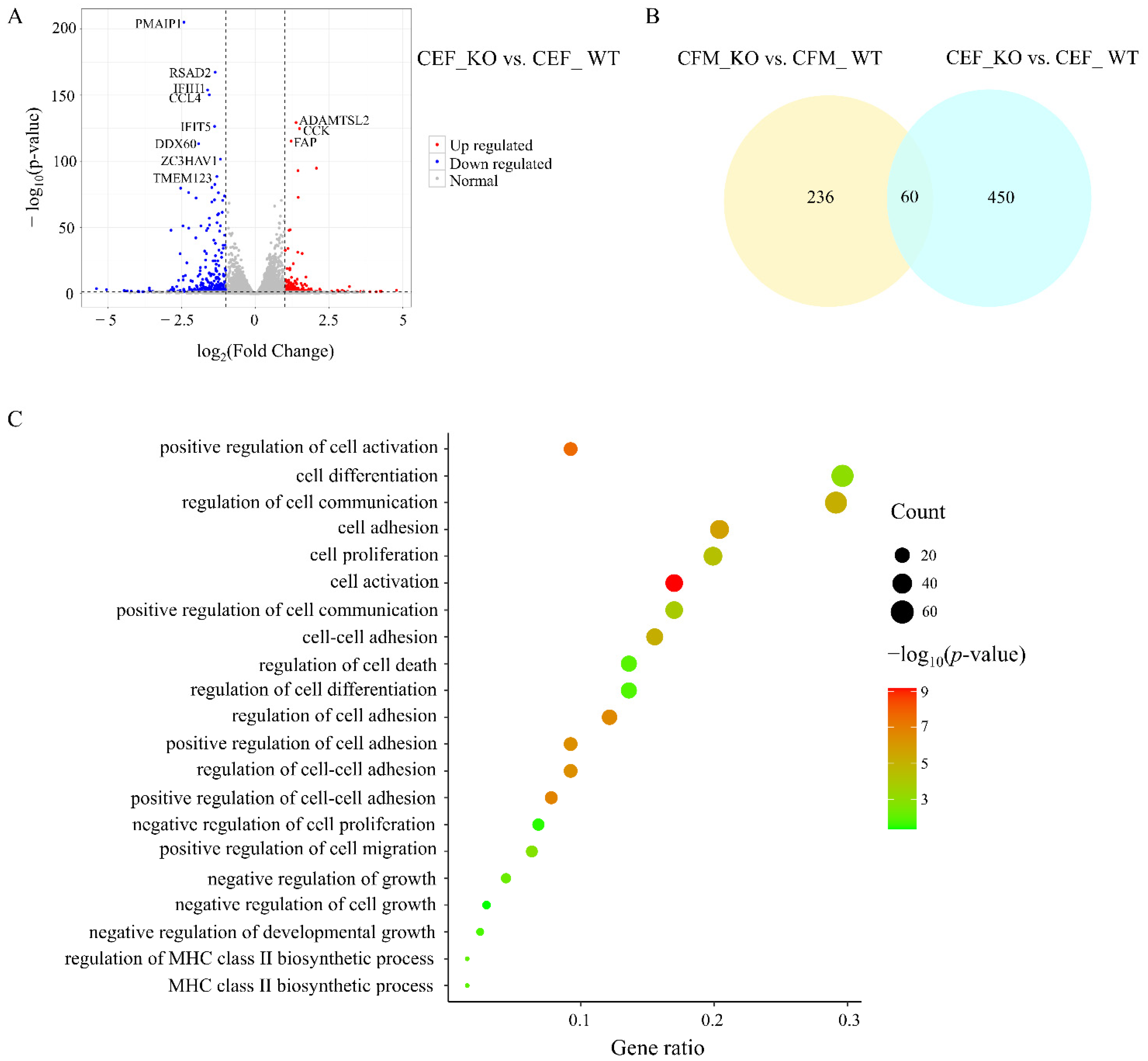 Genes 13 00058 g004 Genes 13 00058 g004