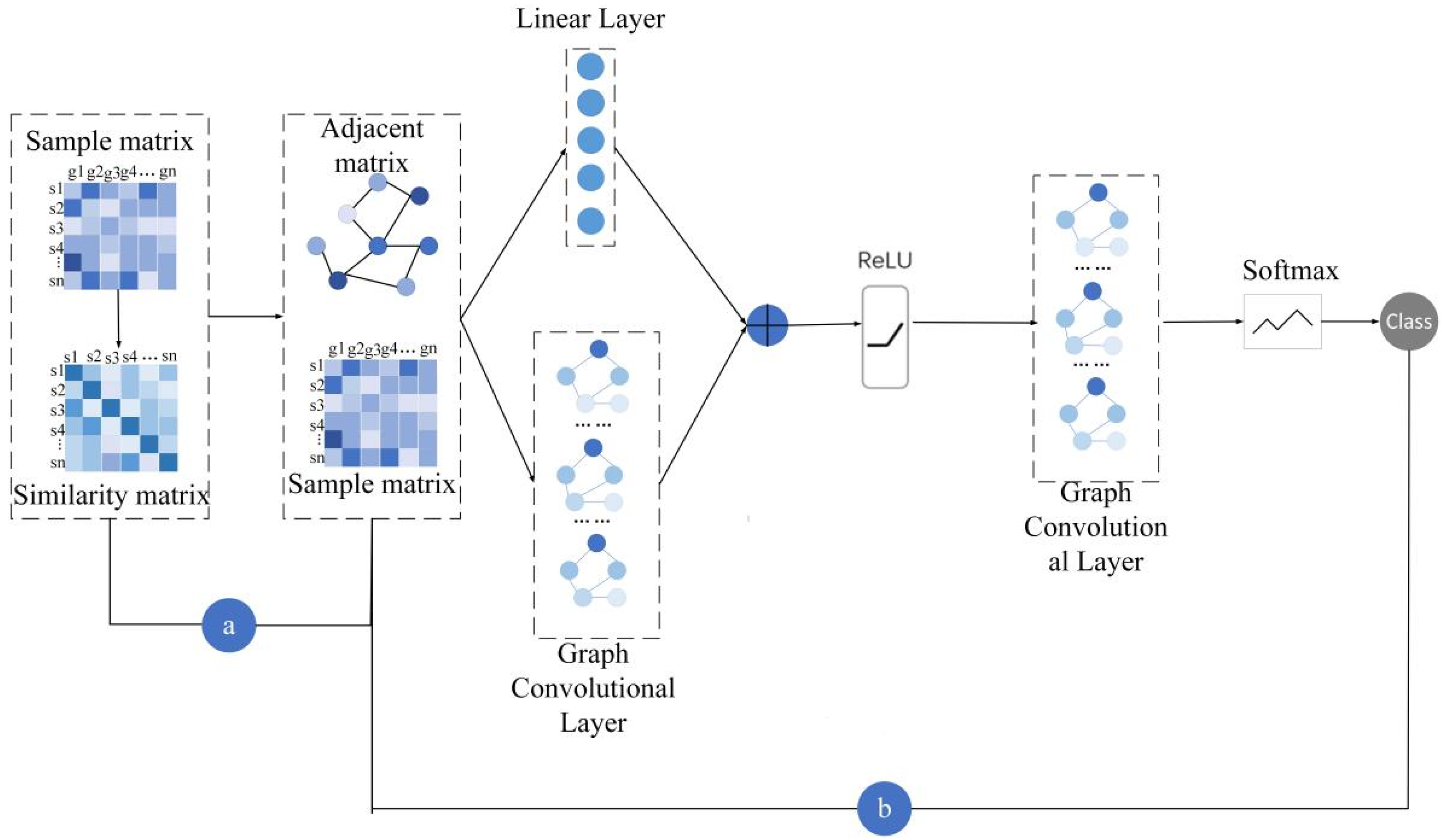 Genes 13 00065 g001 Genes 13 00065 g001