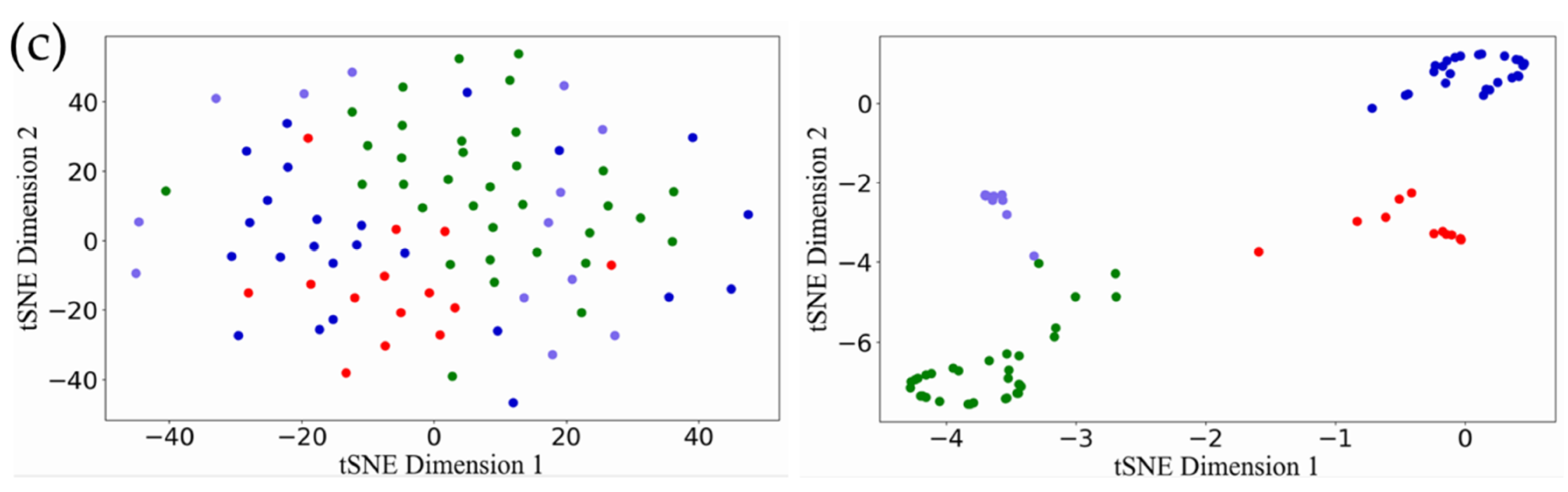 Genes 13 00065 g003b Genes 13 00065 g003b