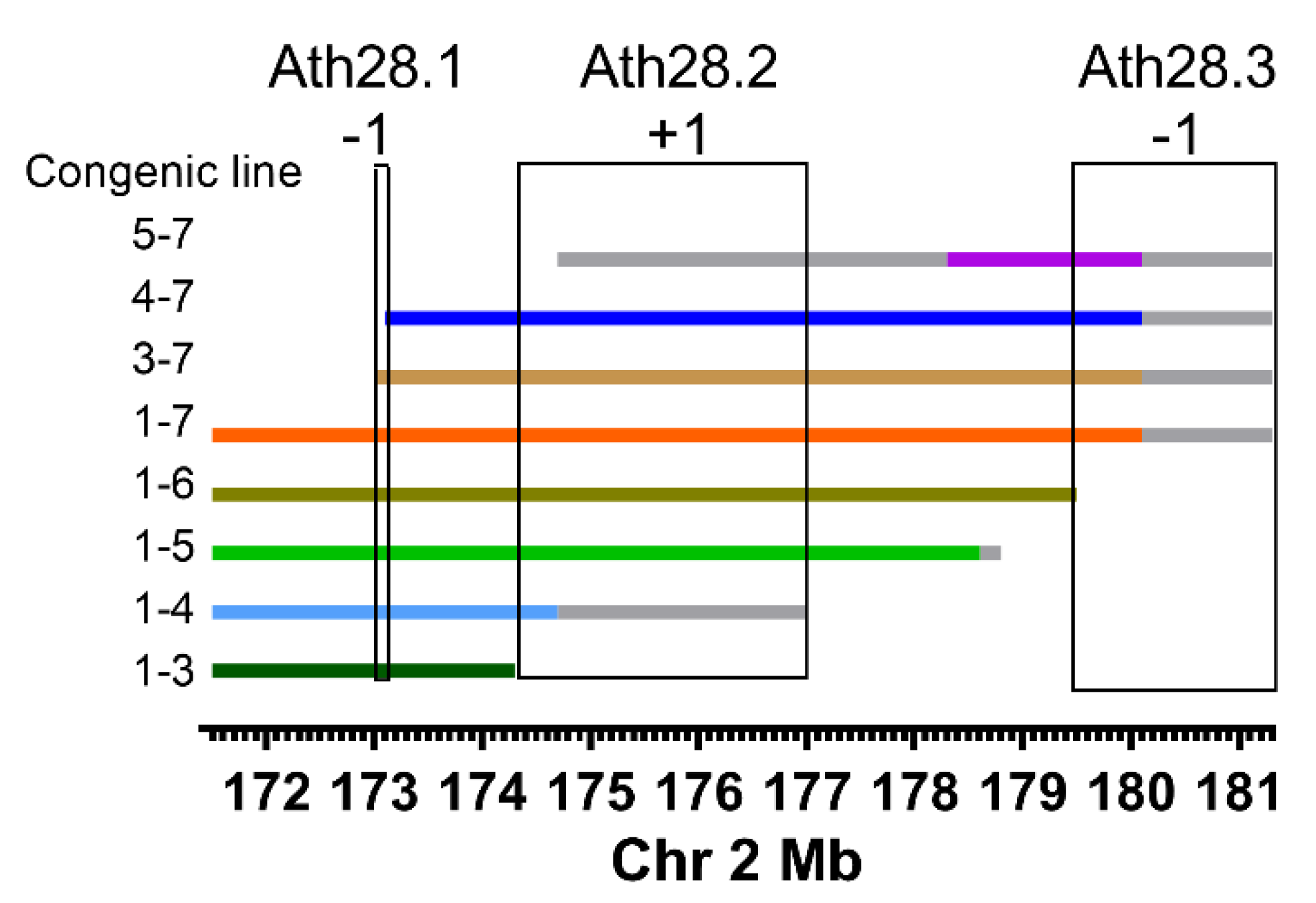 Genes 13 00070 g001 Genes 13 00070 g001