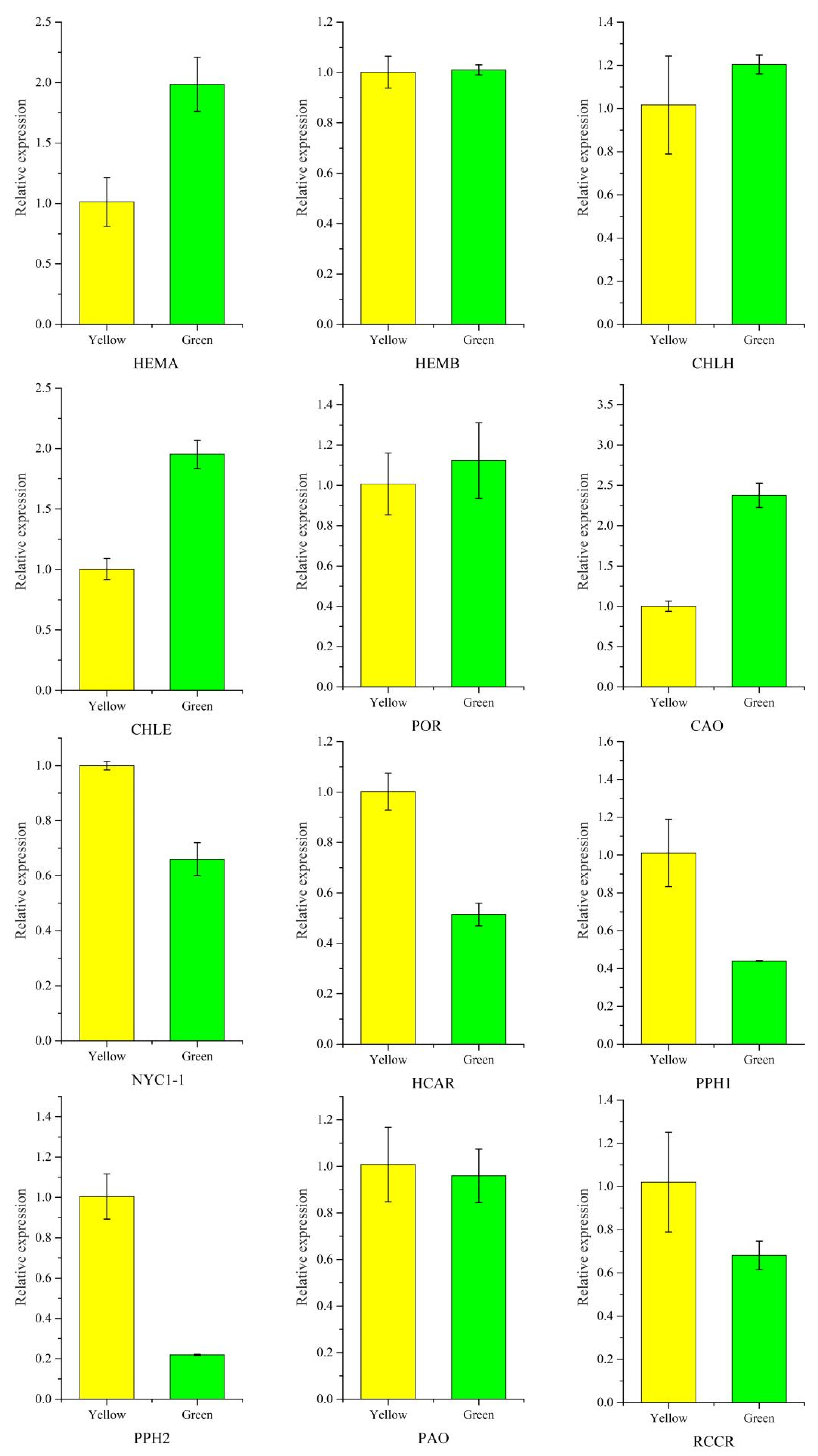 Genes 13 00071 g009 Genes 13 00071 g009