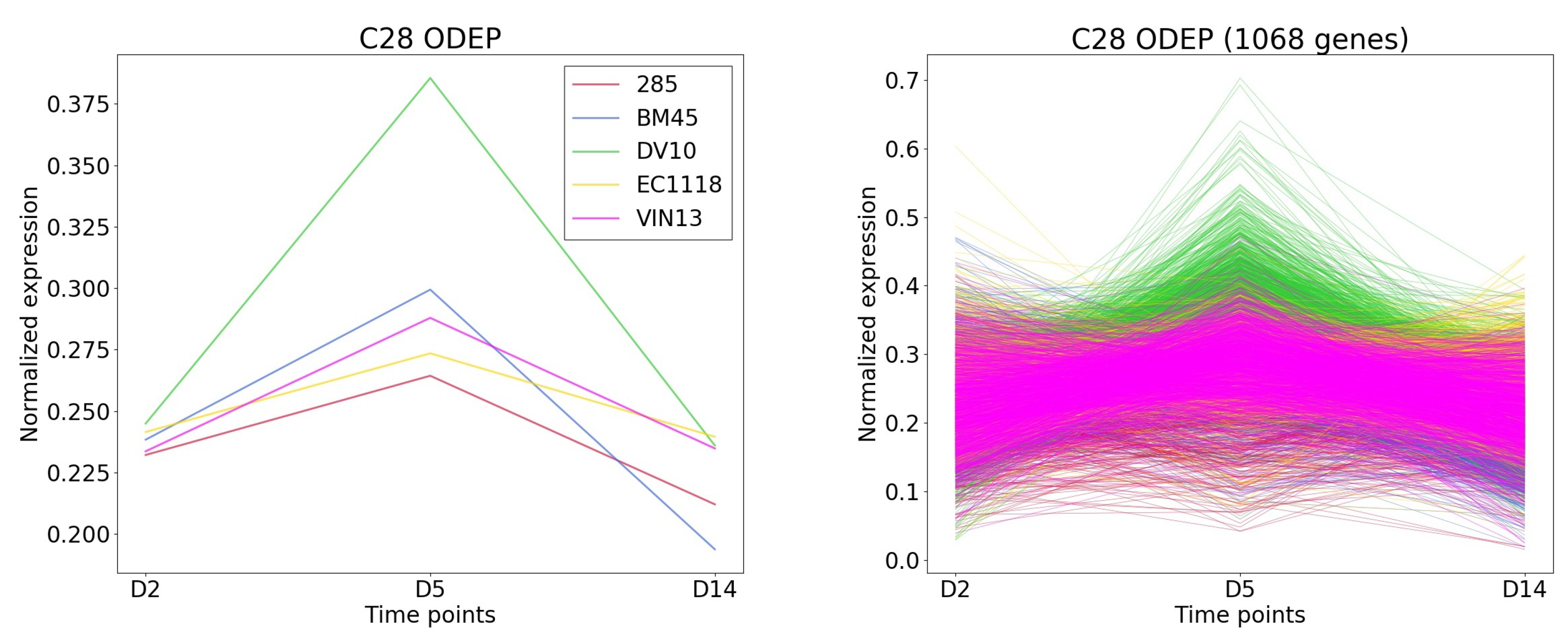 Genes 13 00073 g008 550