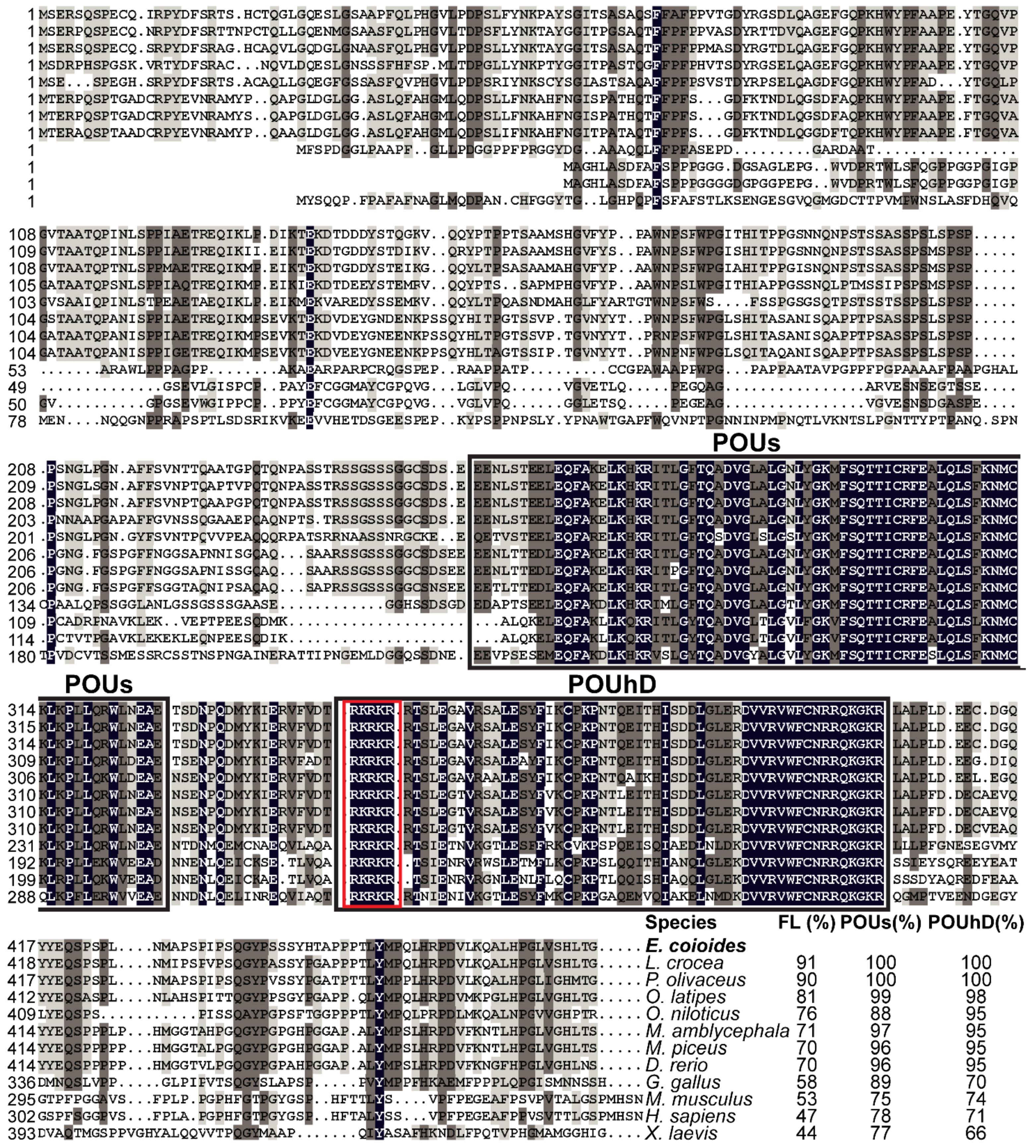 Genes 13 00079 g002 550