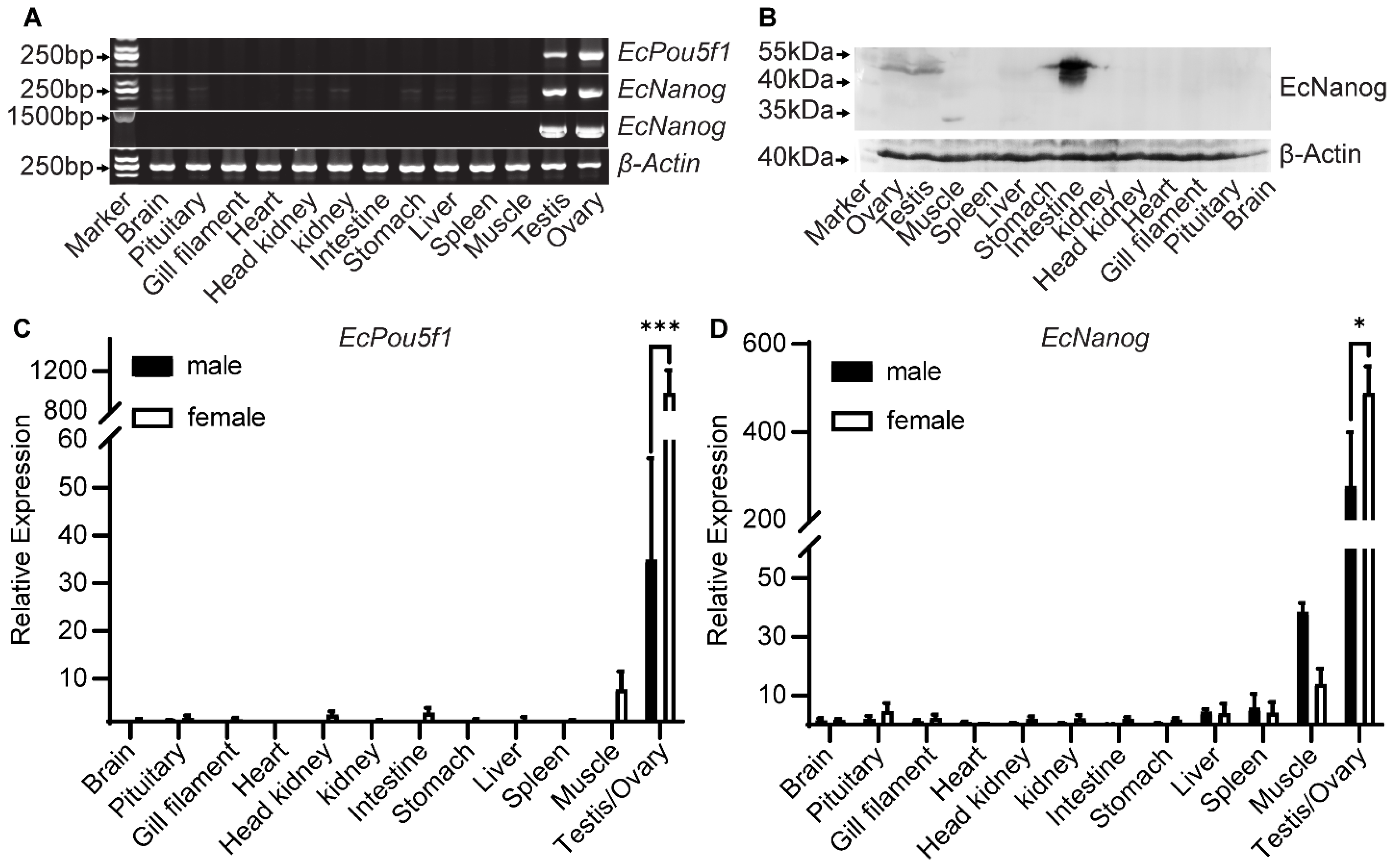 Genes 13 00079 g005 550