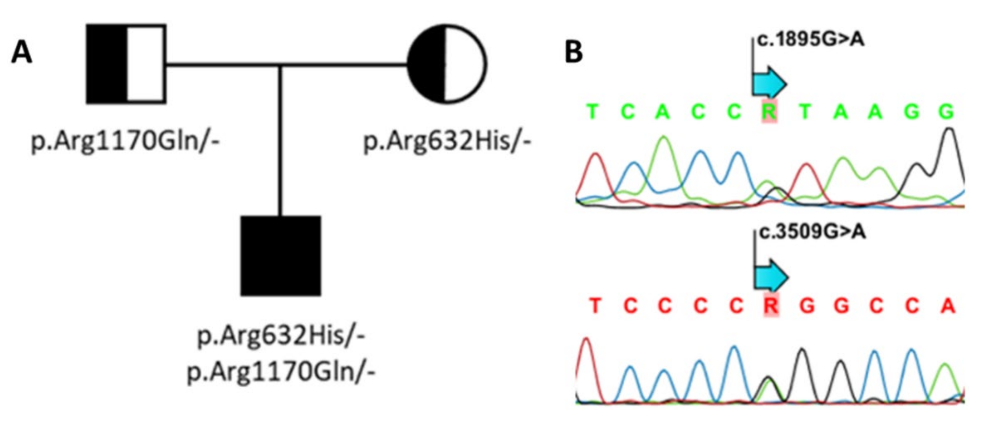 Genes 13 00080 g003 550