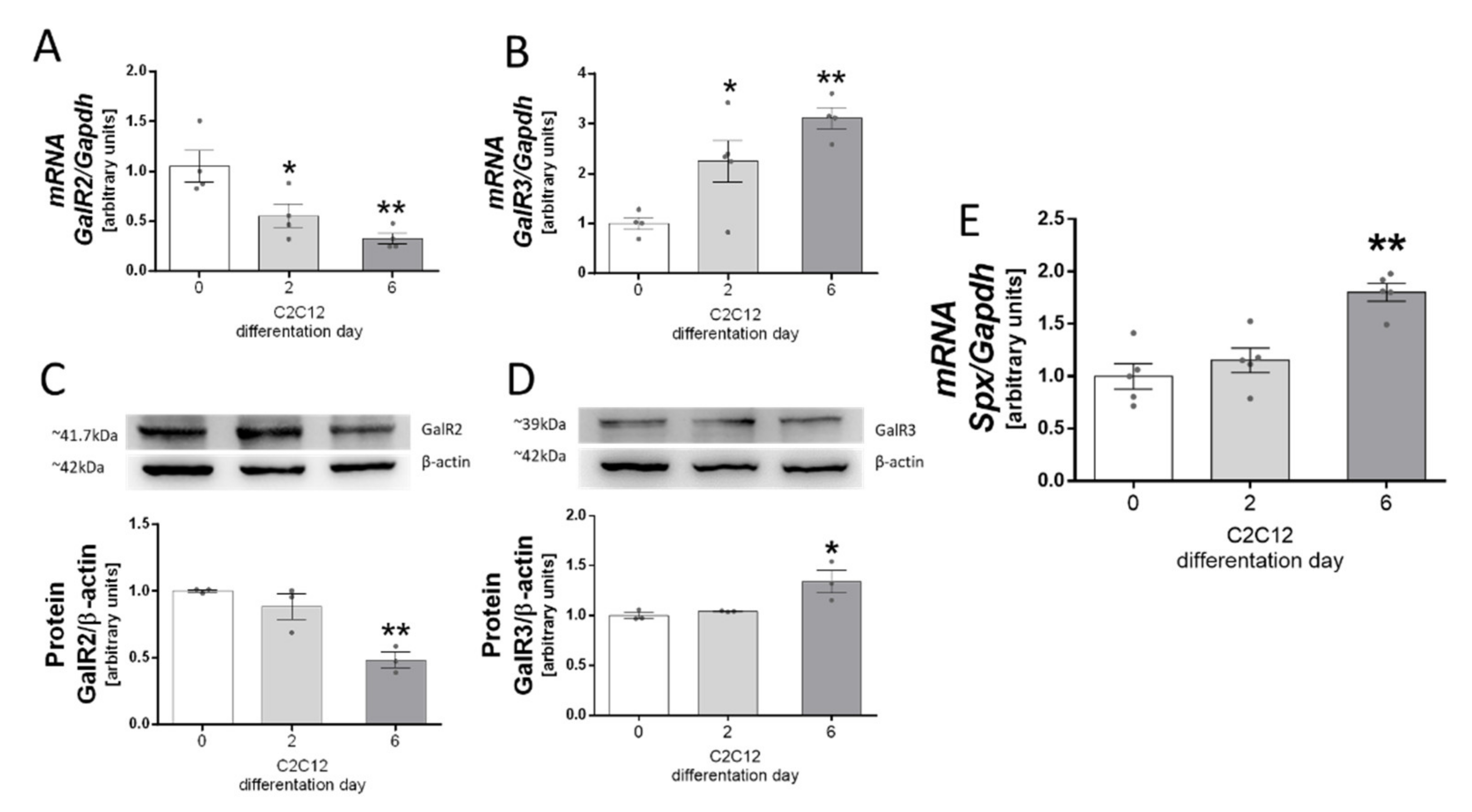Genes 13 00081 g001 Genes 13 00081 g001