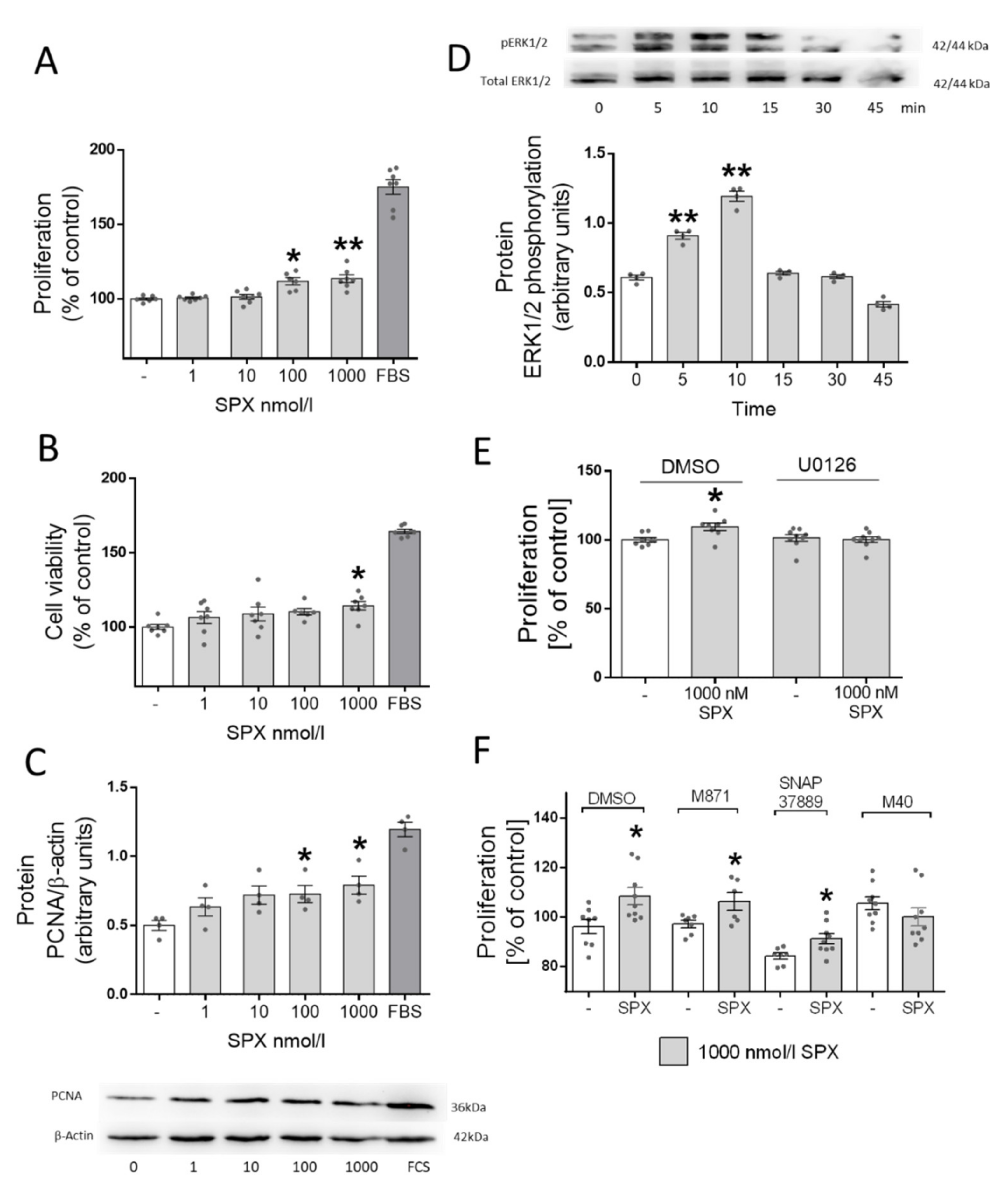 Genes 13 00081 g002 Genes 13 00081 g002