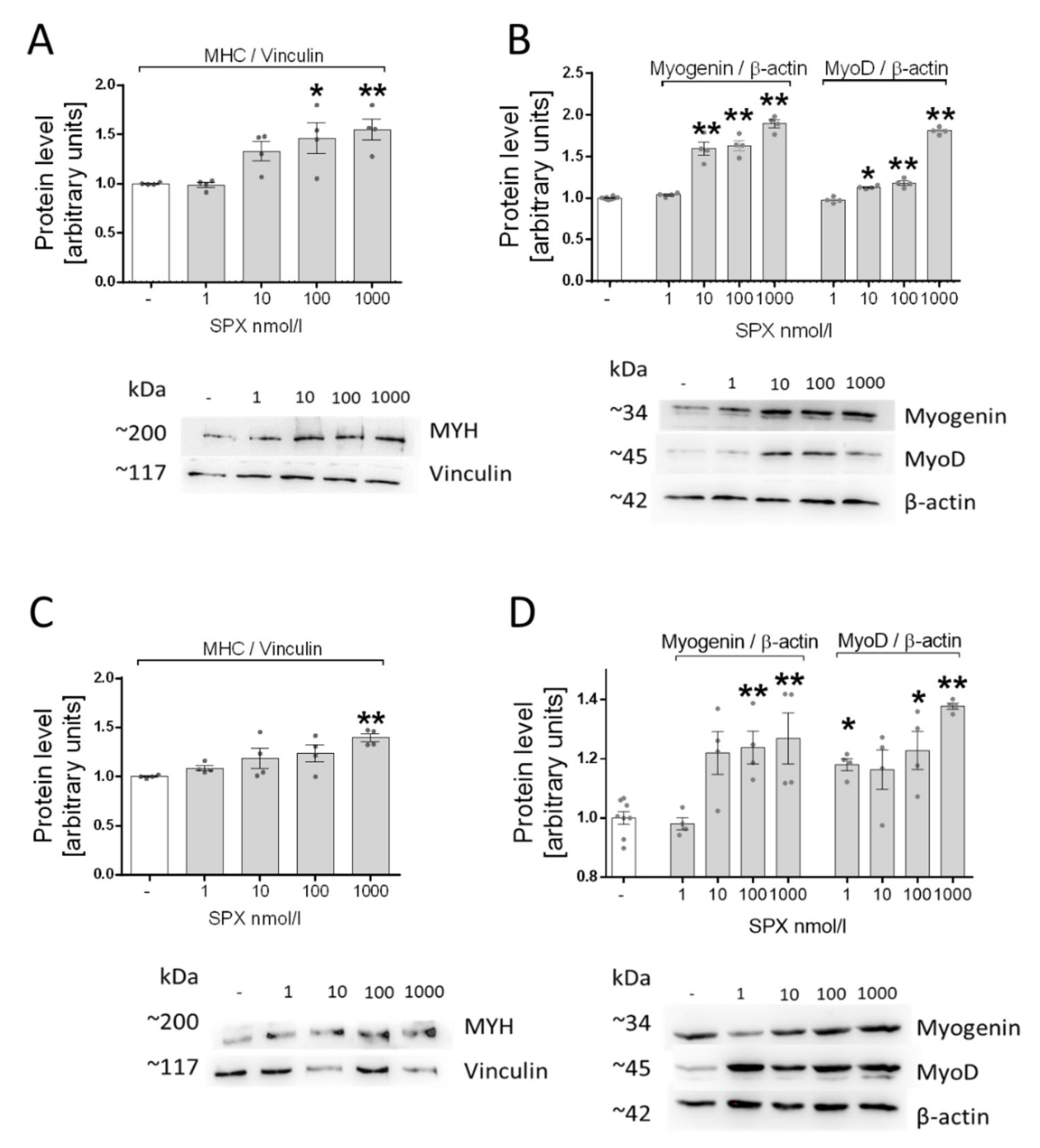 Genes 13 00081 g004 Genes 13 00081 g004