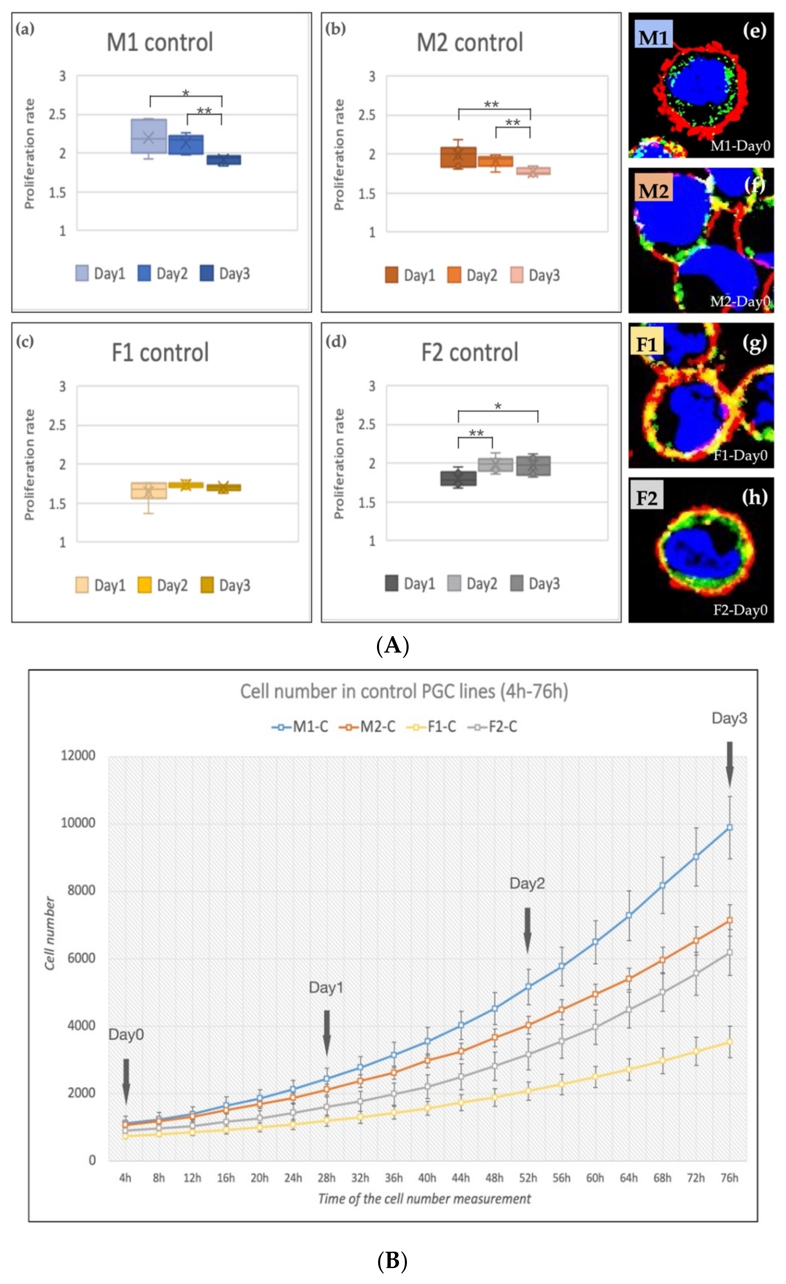 Genes 13 00082 g003