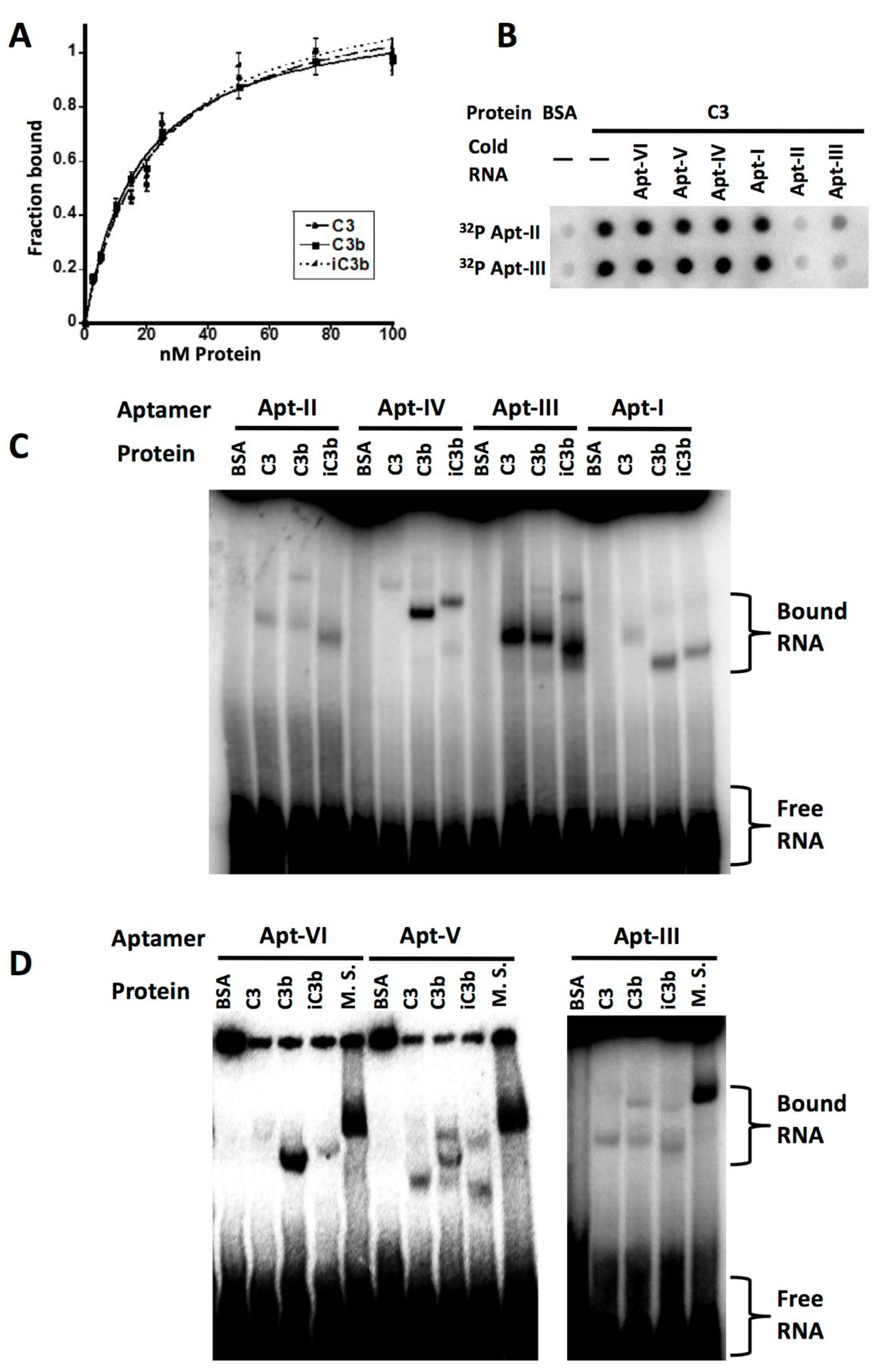 Genes 13 00086 g002 Genes 13 00086 g002