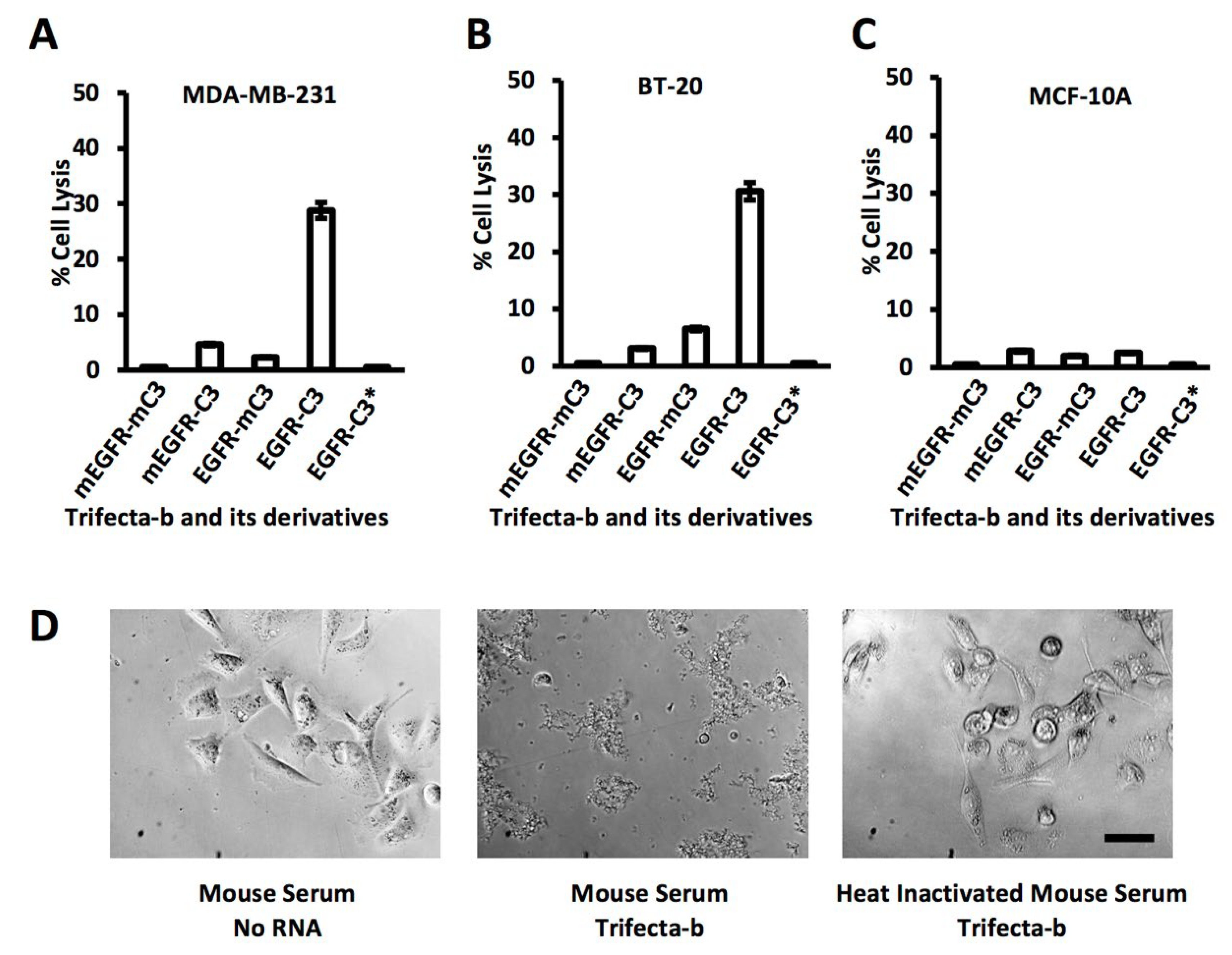 Genes 13 00086 g006 Genes 13 00086 g006
