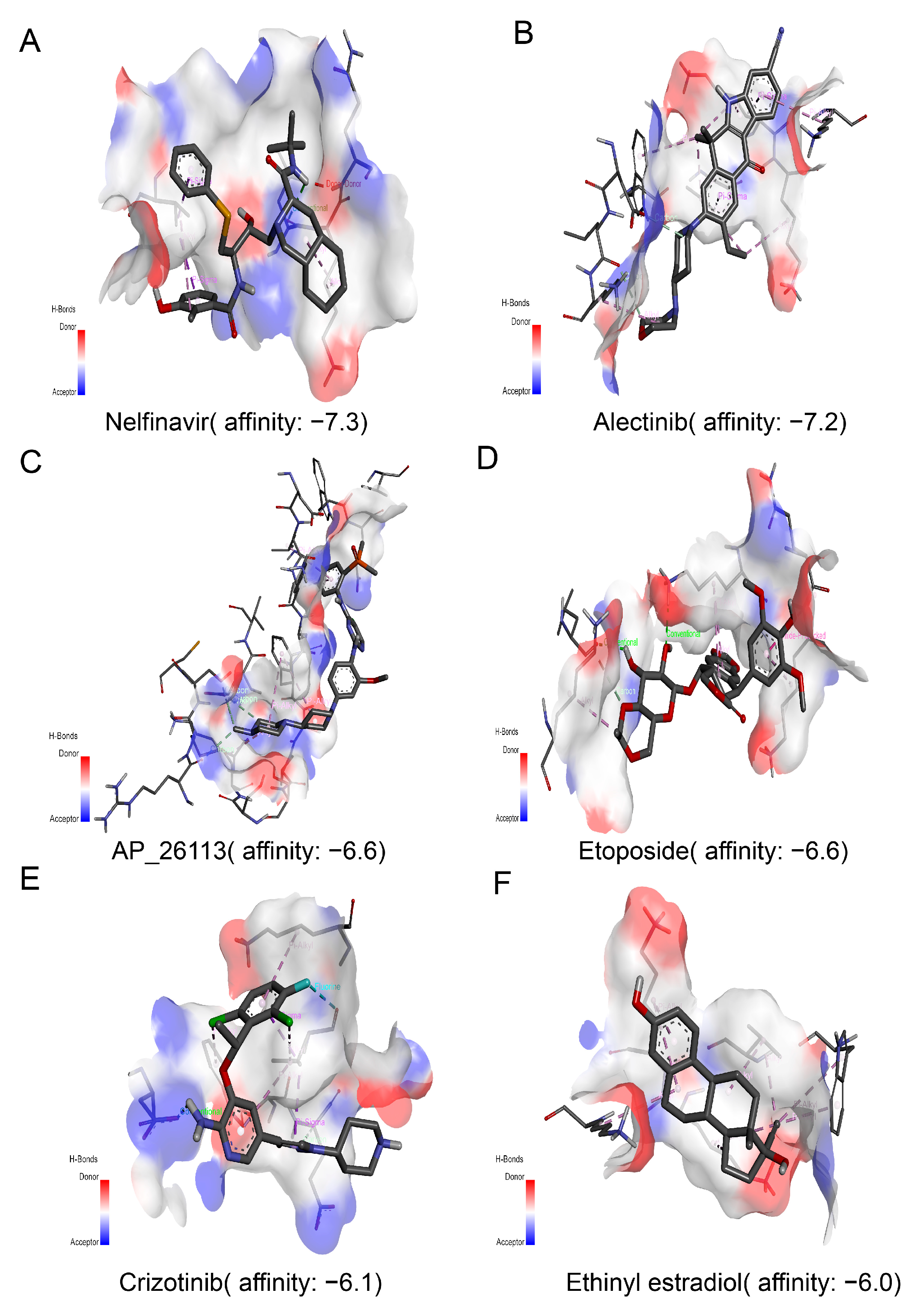 Genes 13 00088 g007 550
