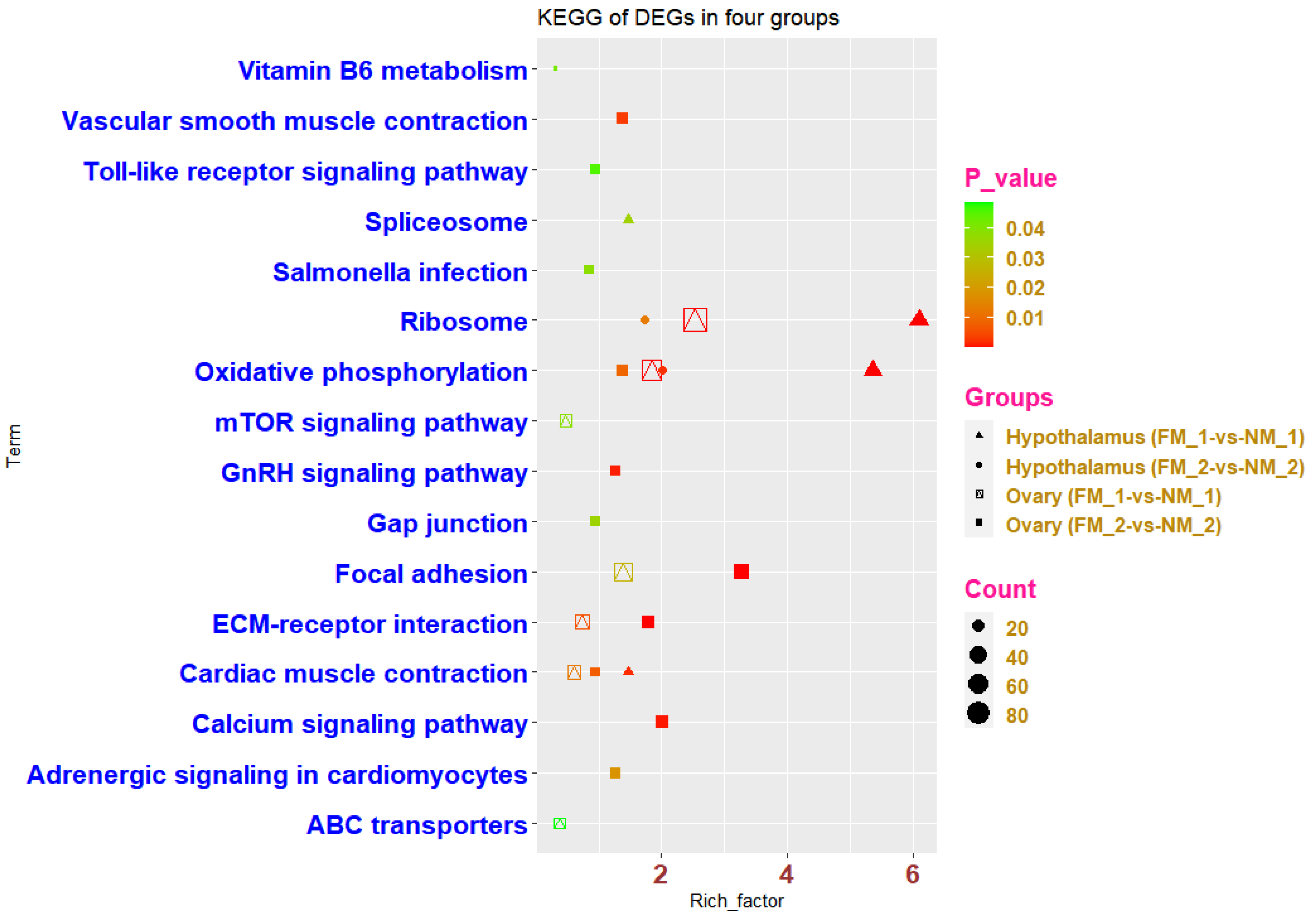 Genes 13 00089 g005 Genes 13 00089 g005