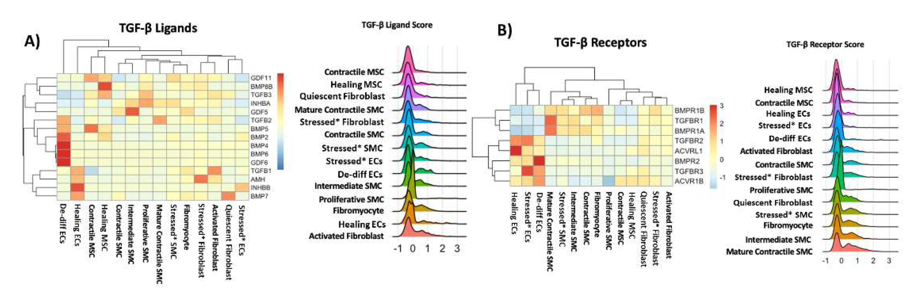 Genes 13 00095 g004