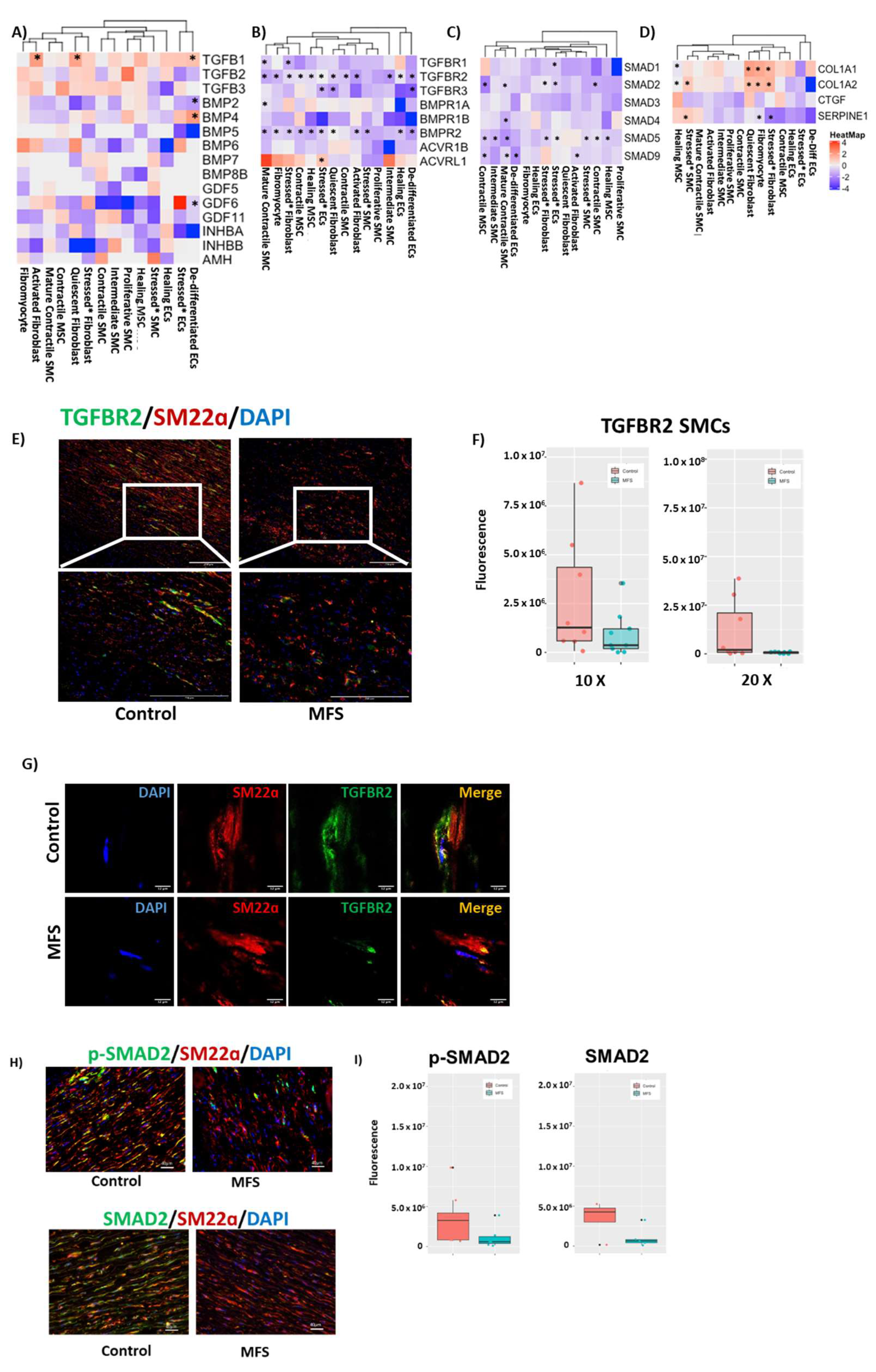 Genes 13 00095 g006