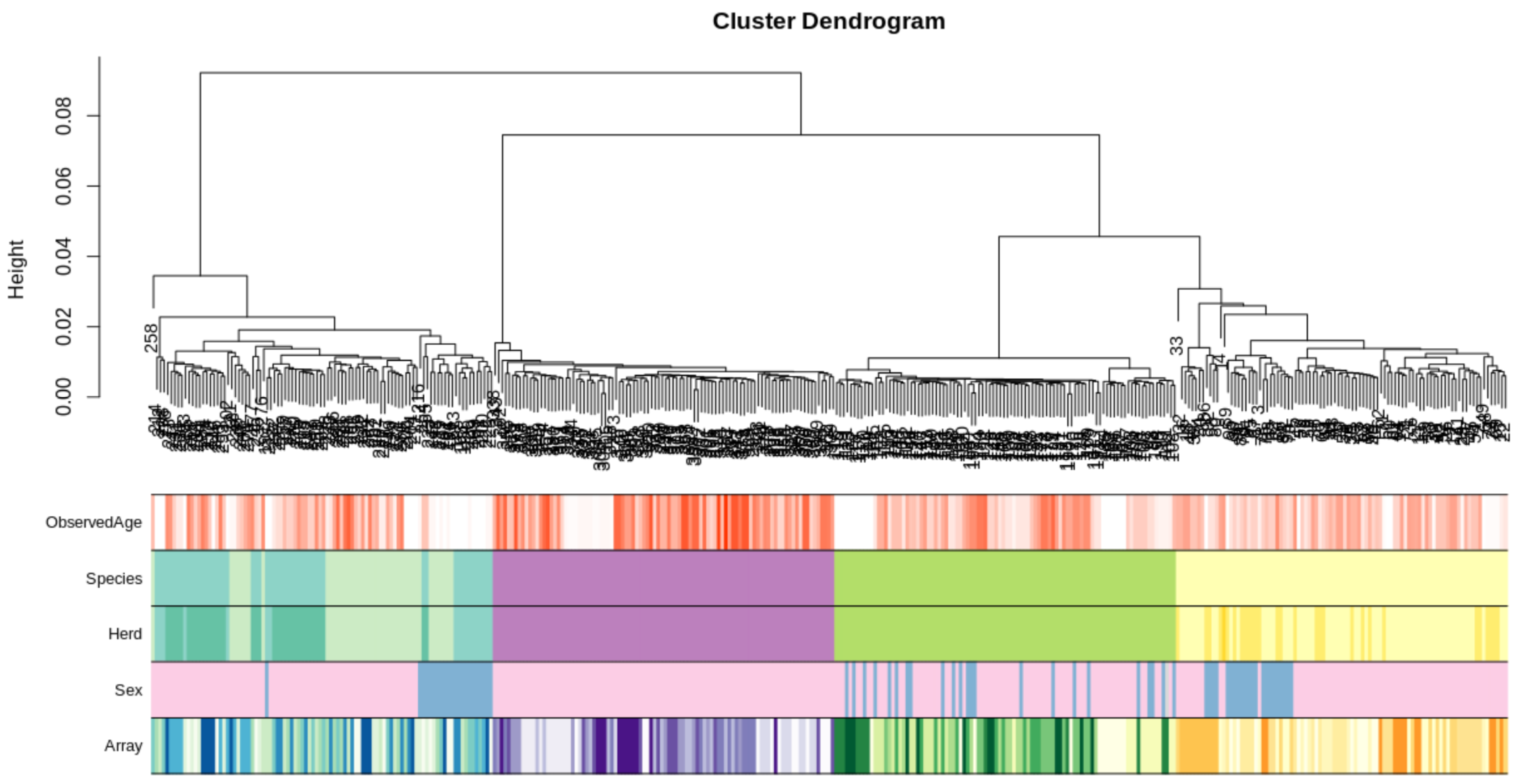 Genes 13 00096 g001
