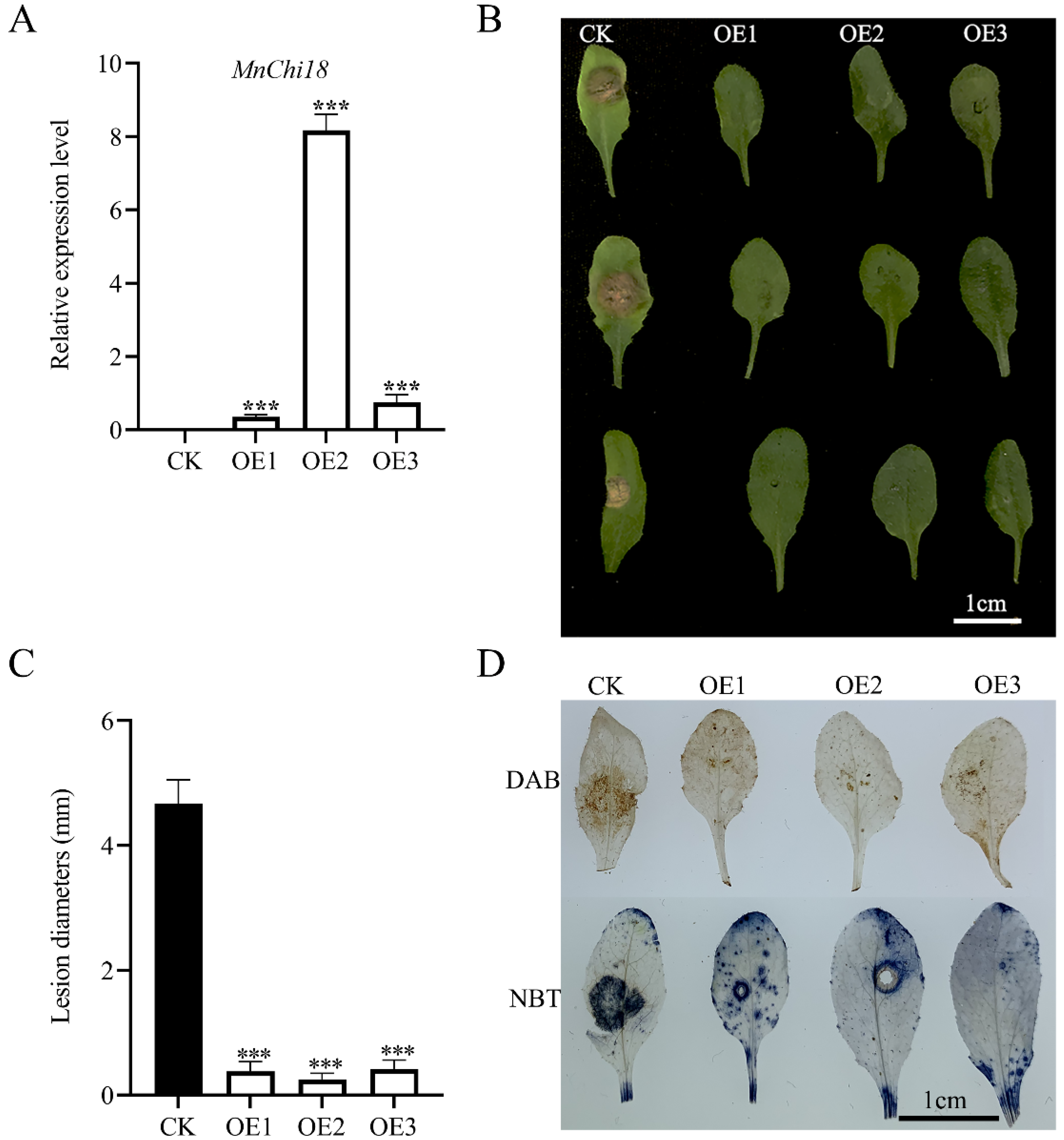 Genes 13 00098 g004 550