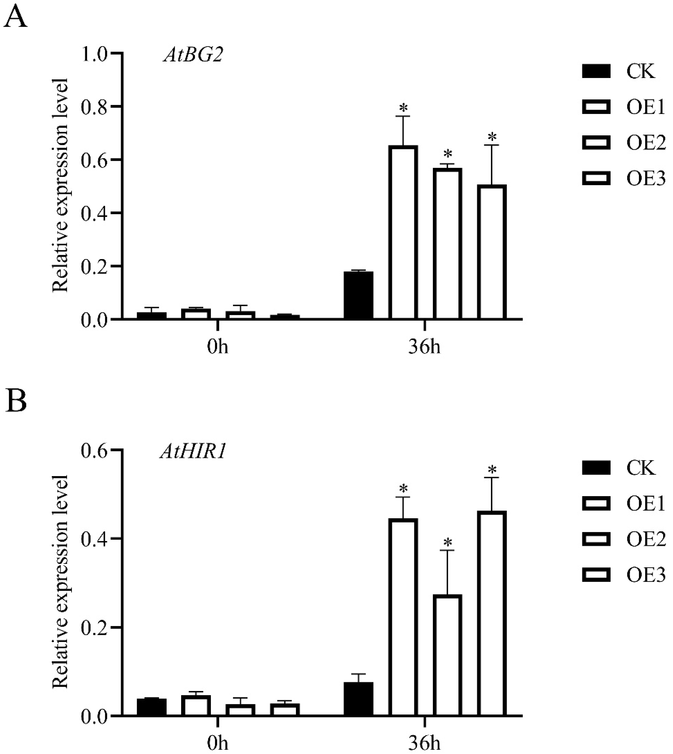 Genes 13 00098 g006 550