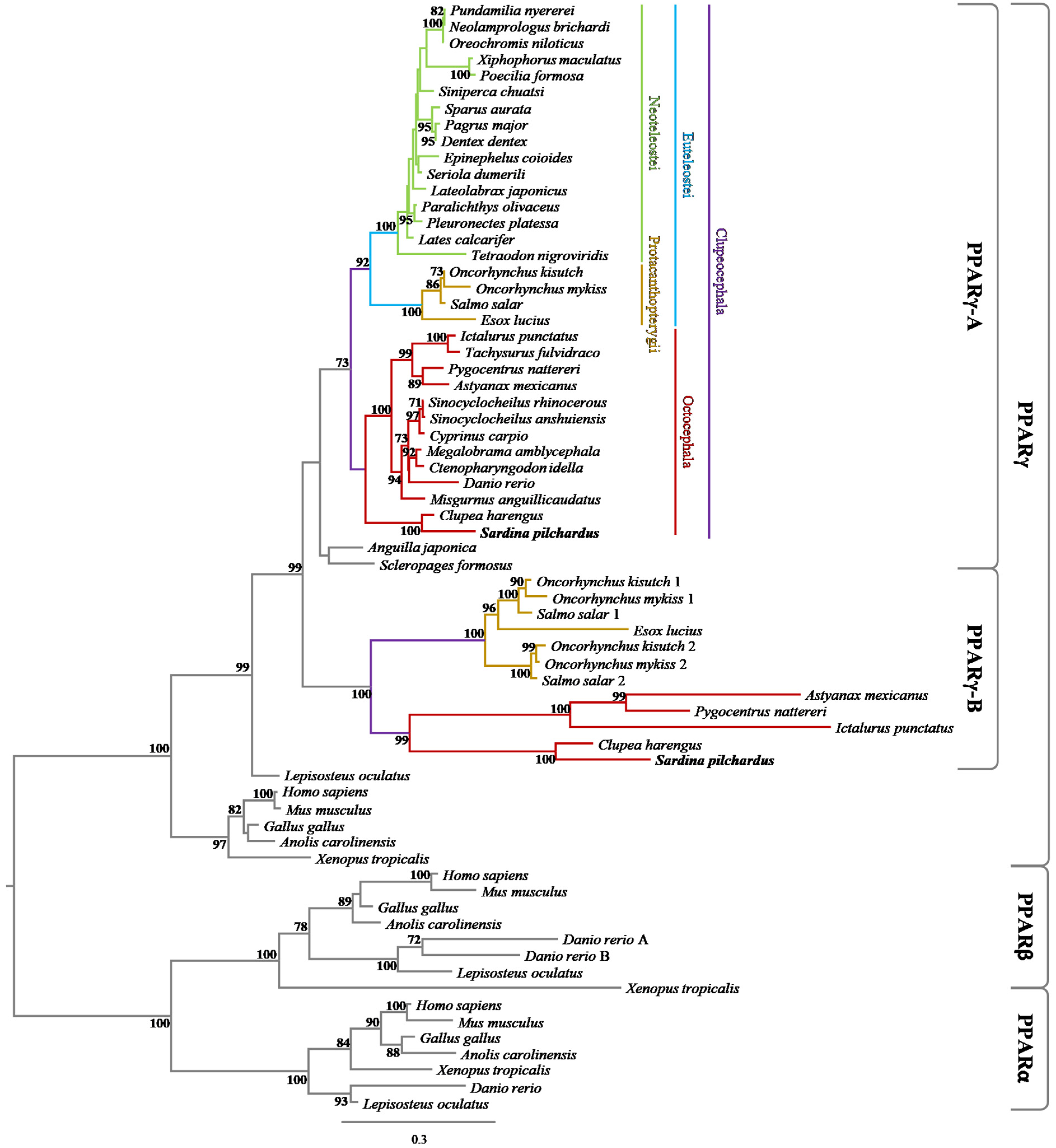 Genes 13 00107 g001 Genes 13 00107 g001