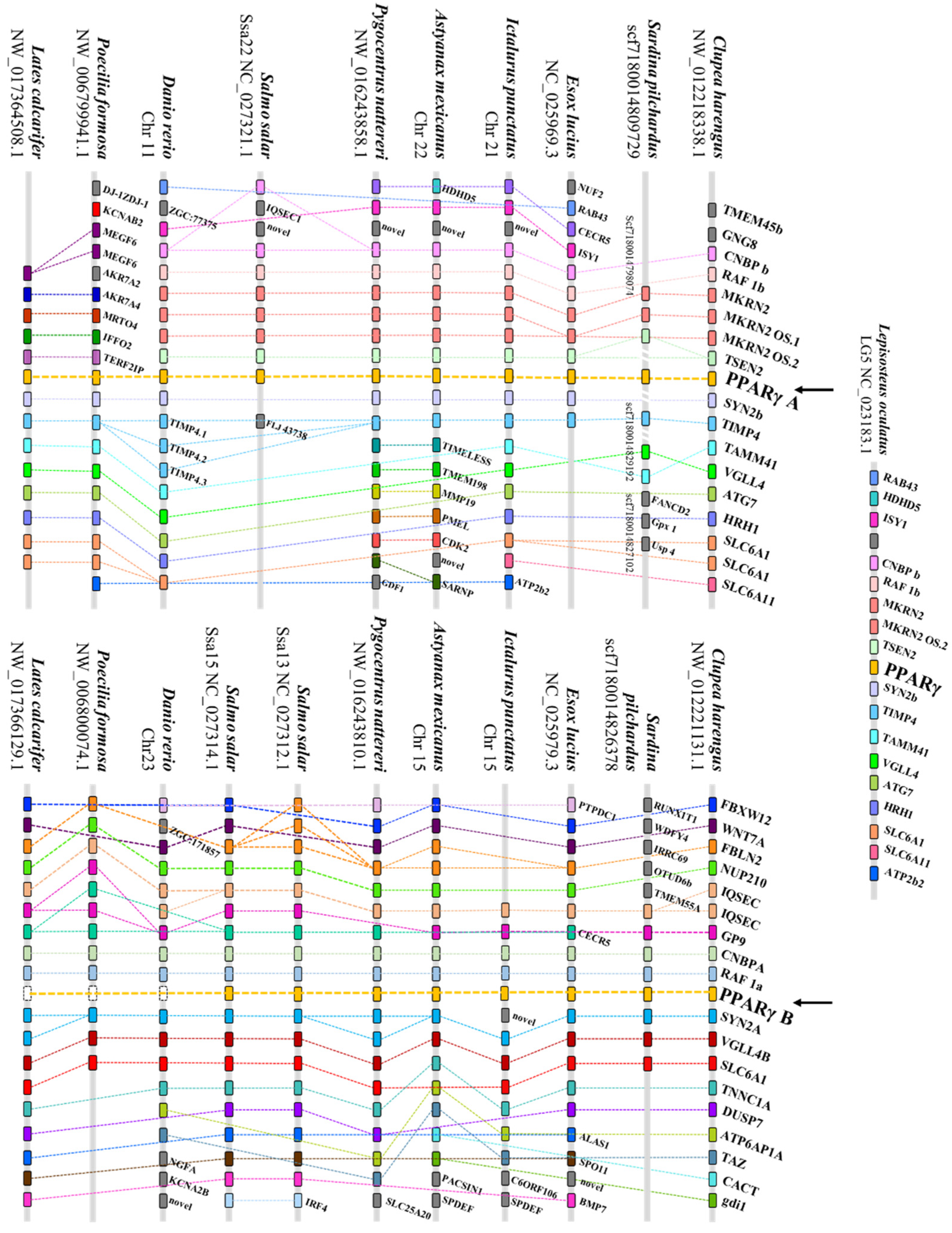 Genes 13 00107 g002 Genes 13 00107 g002