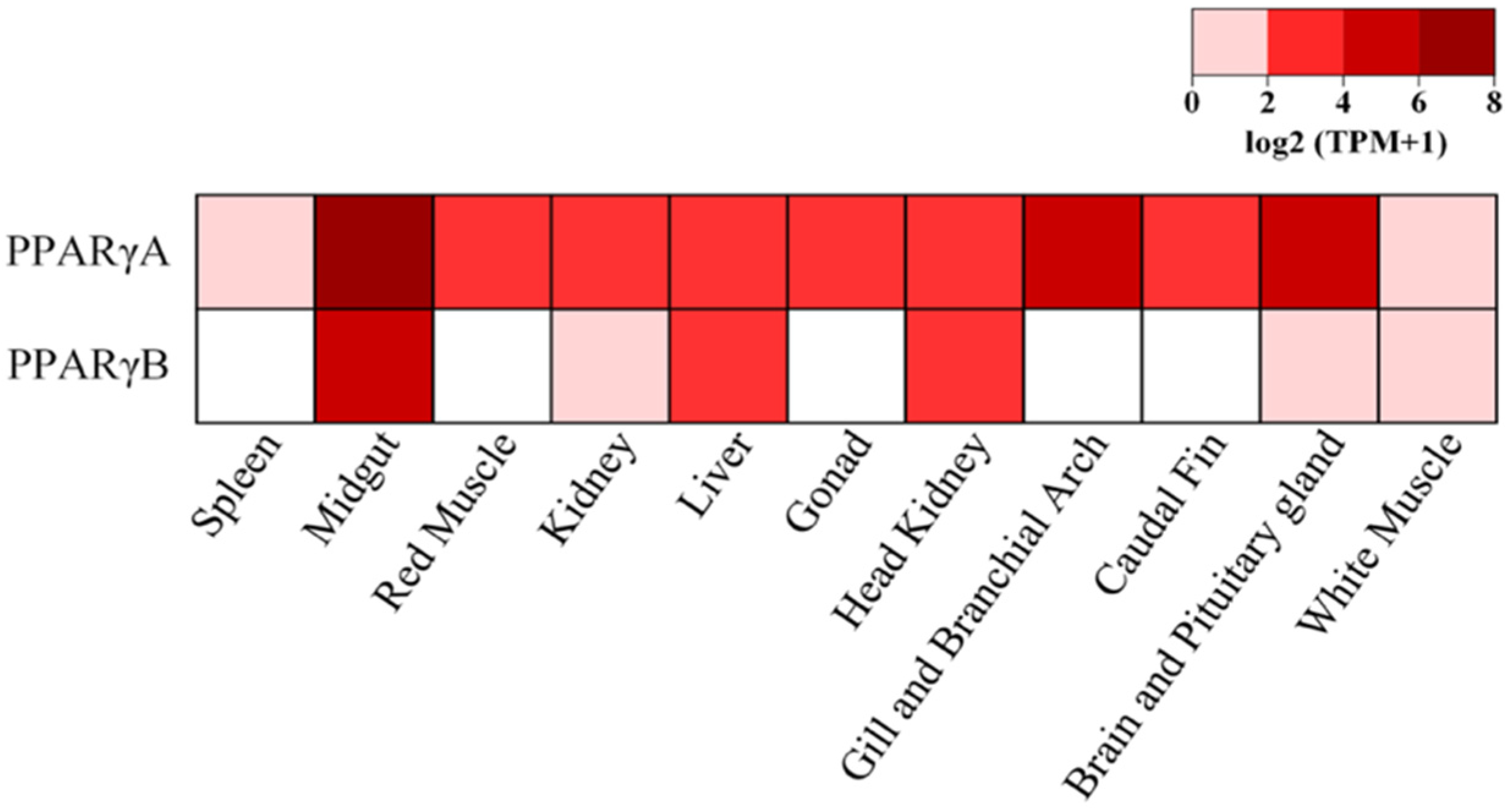 Genes 13 00107 g003 Genes 13 00107 g003