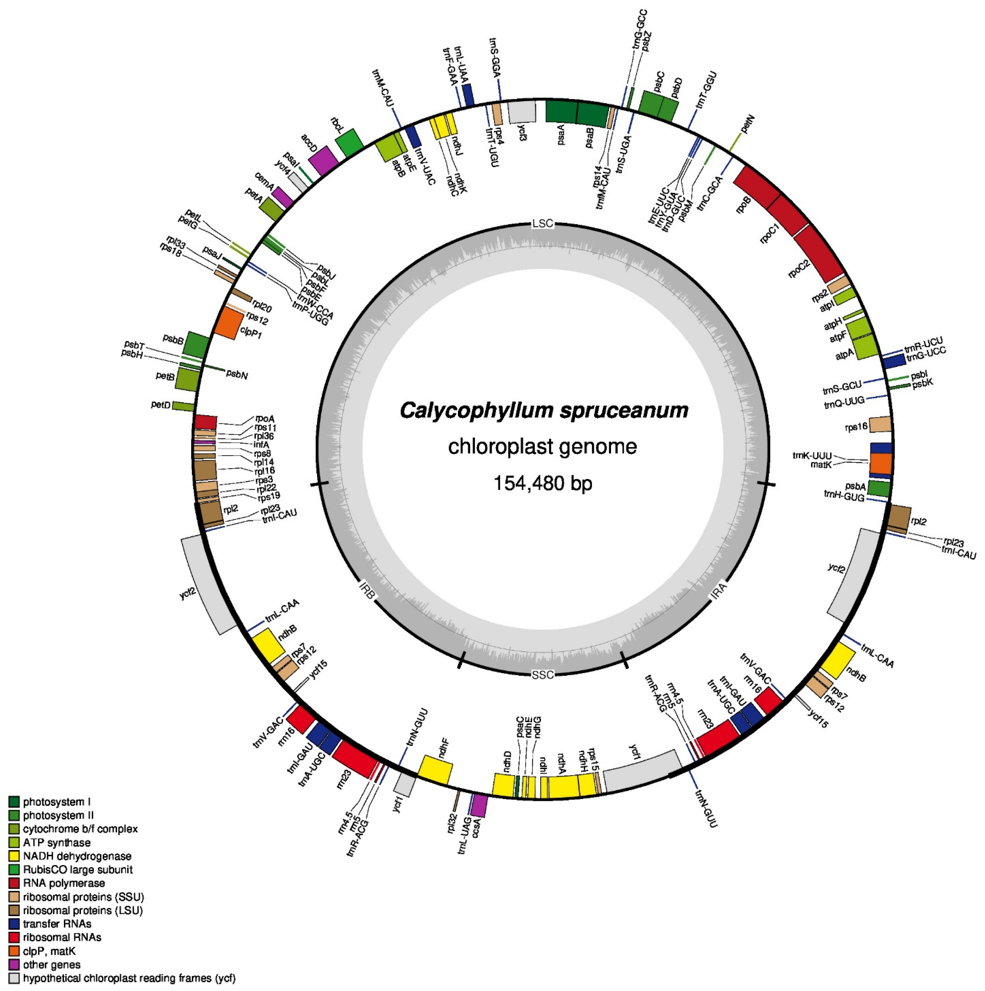 Genes 13 00113 g001 Genes 13 00113 g001