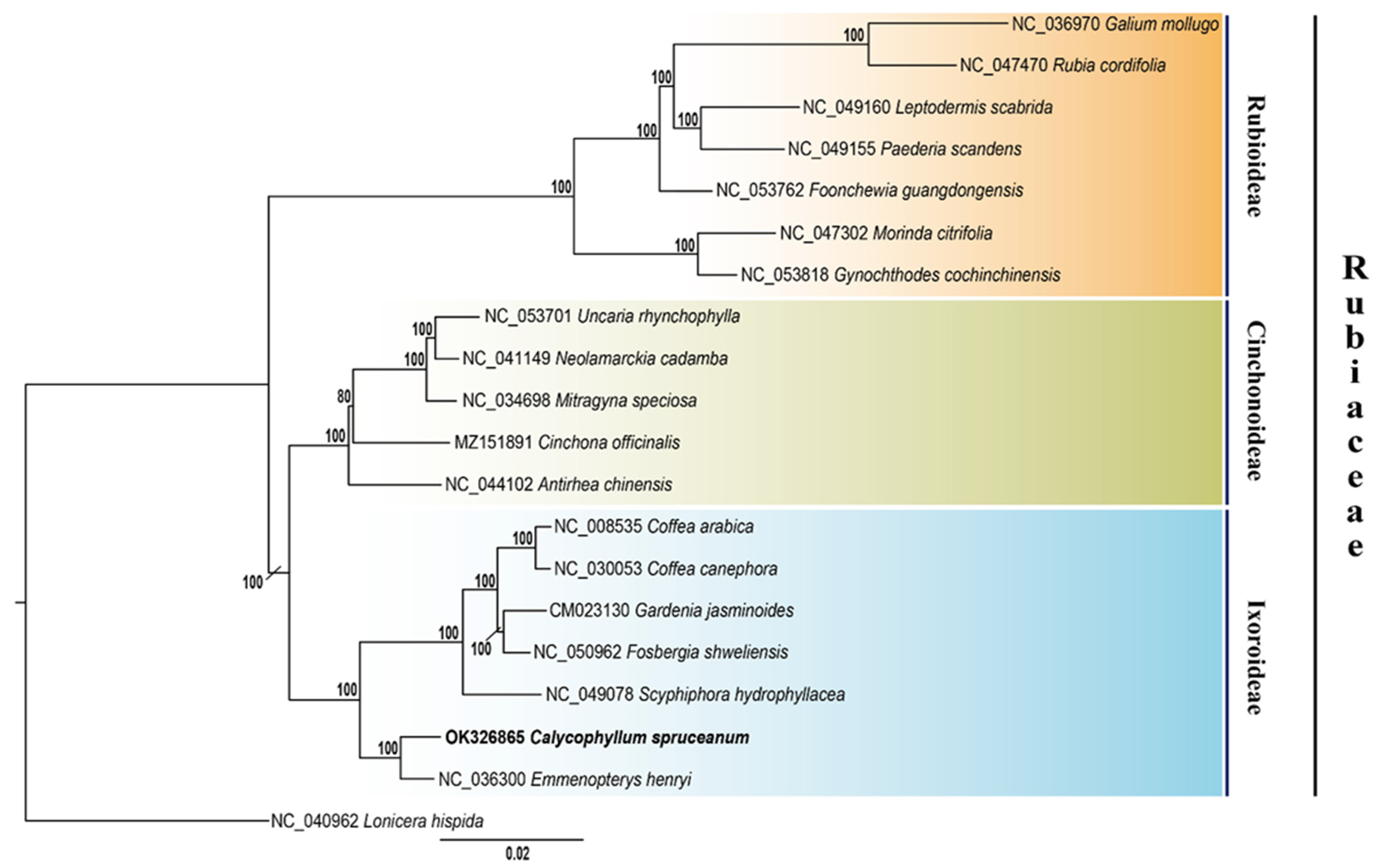 Genes 13 00113 g004 Genes 13 00113 g004