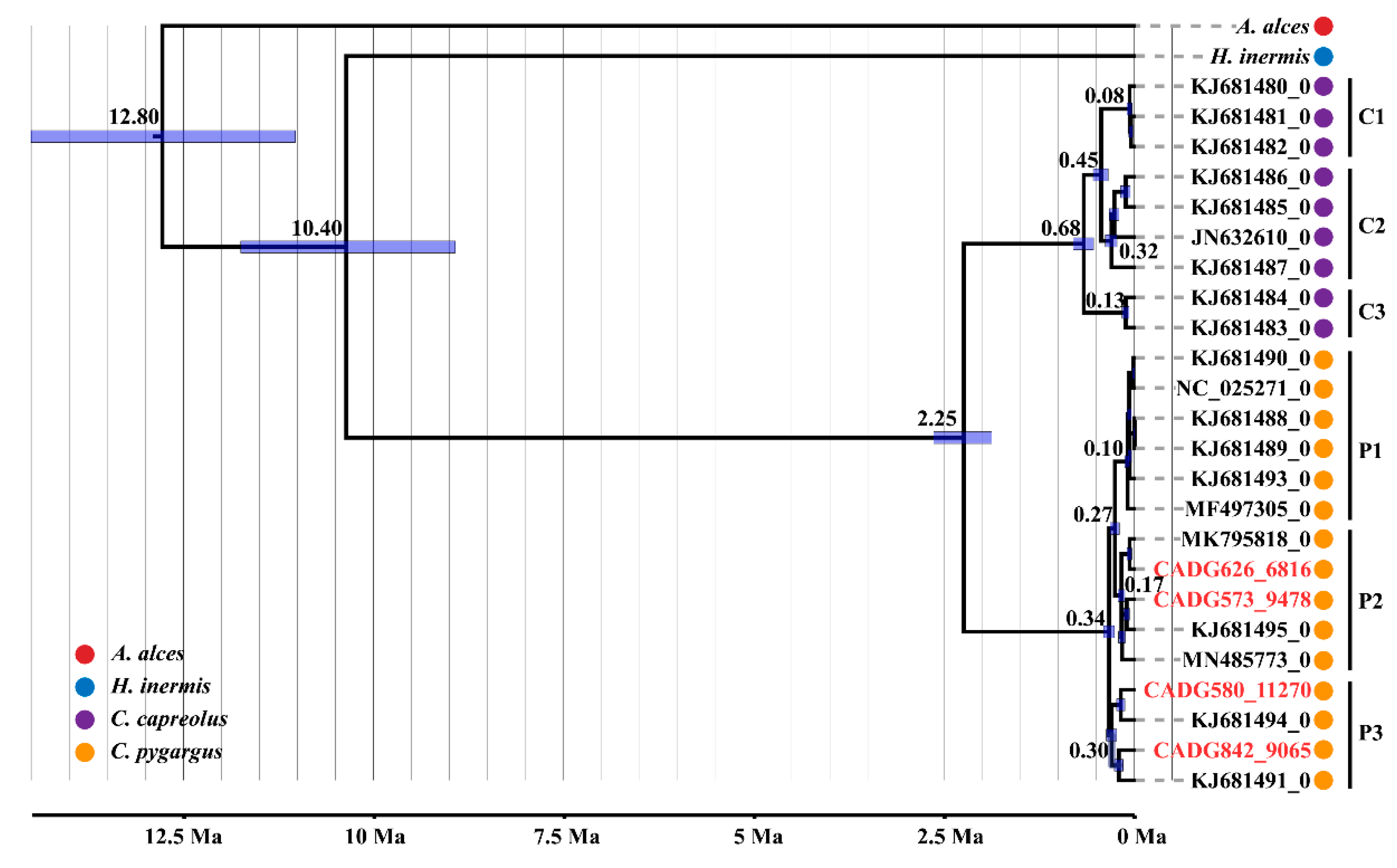 Genes 13 00114 g002 Genes 13 00114 g002