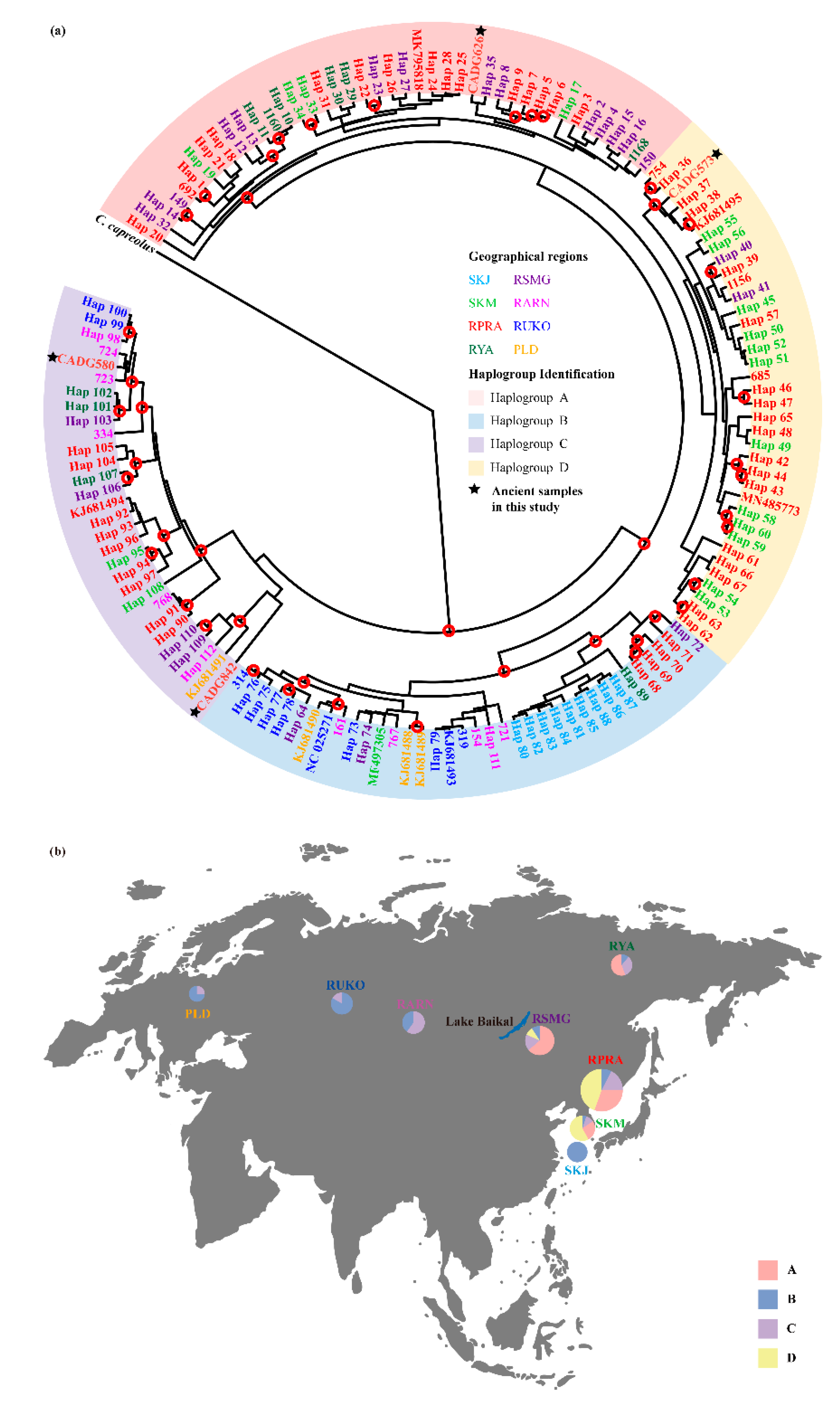 Genes 13 00114 g003 Genes 13 00114 g003