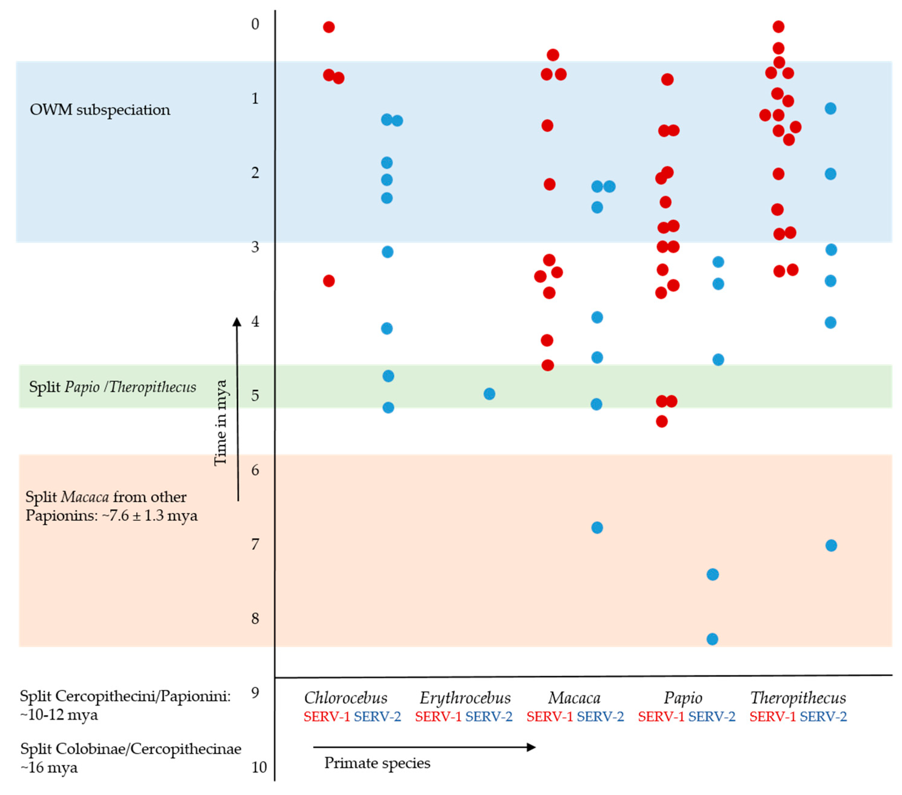 Genes 13 00119 g003 Genes 13 00119 g003