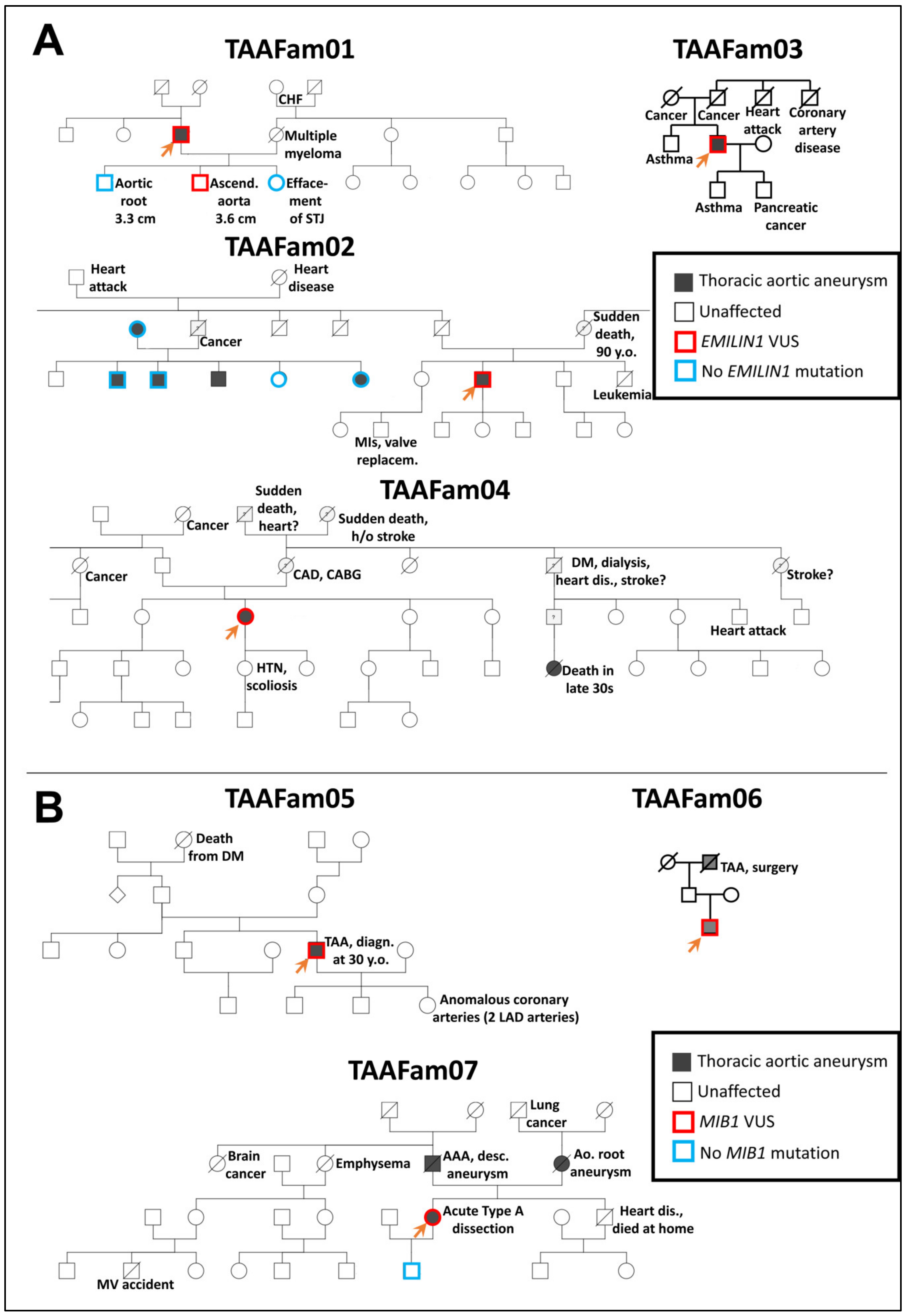Genes 13 00123 g002 550