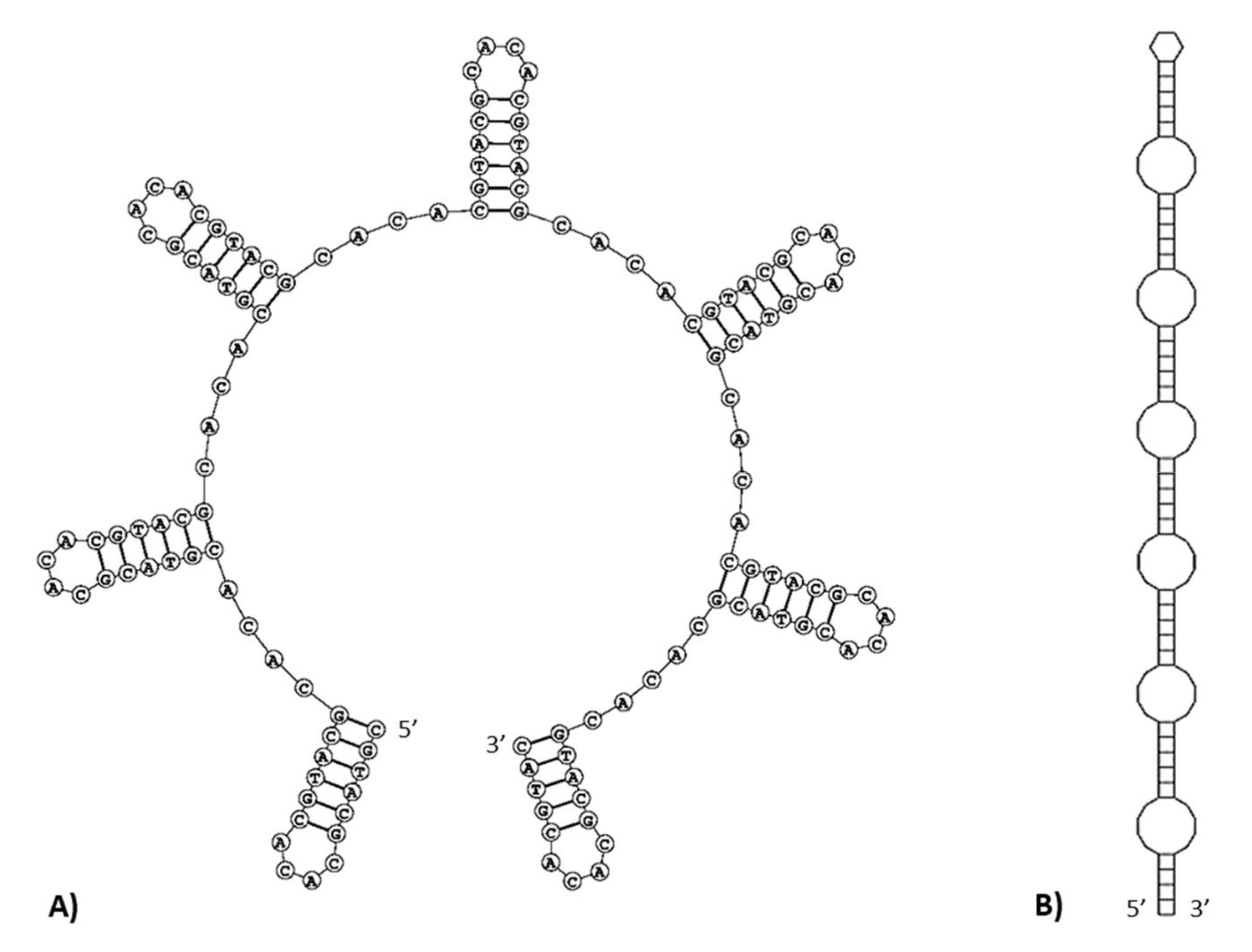 Genes 13 00125 g008 Genes 13 00125 g008