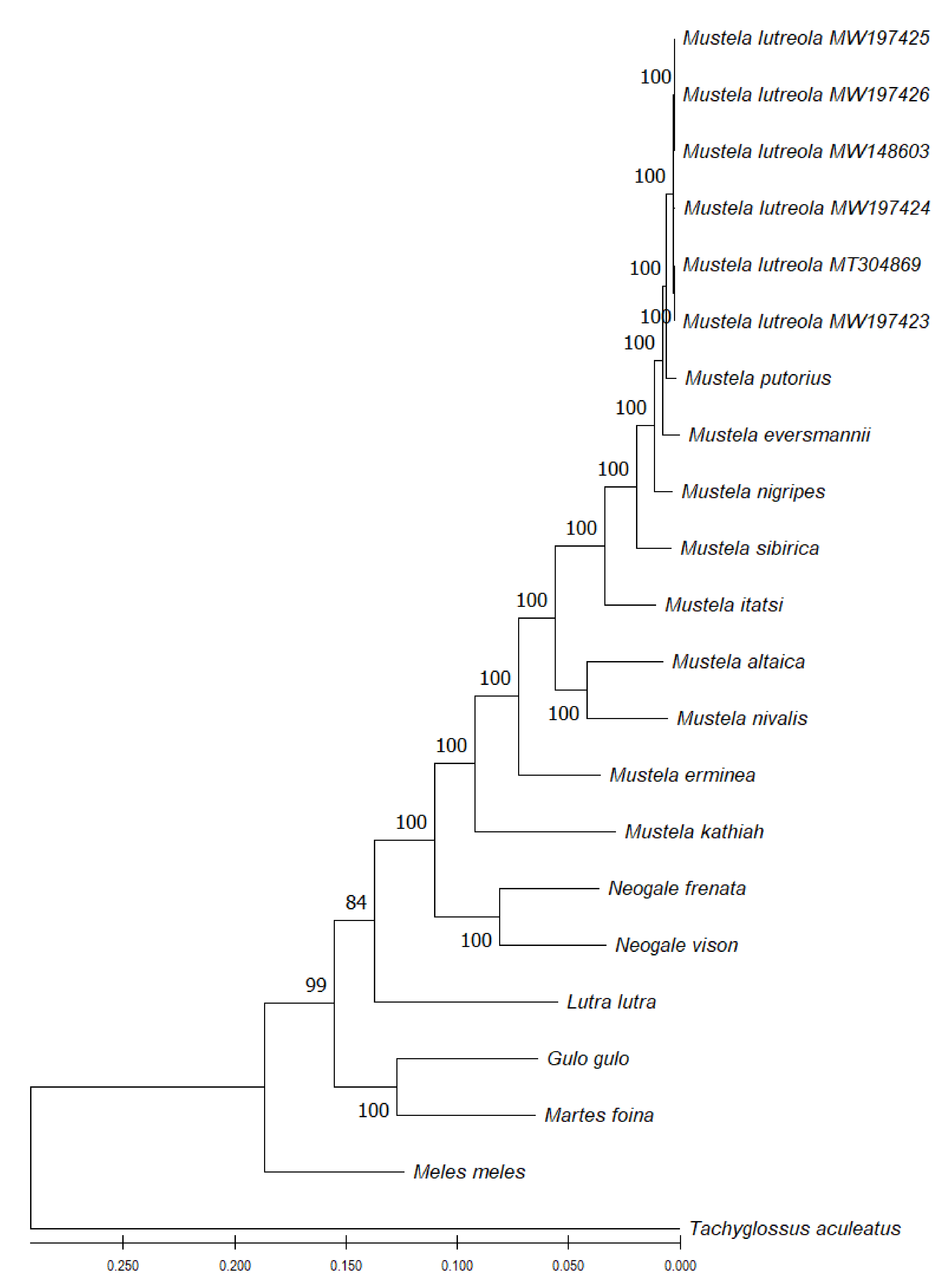 Genes 13 00125 g011 Genes 13 00125 g011