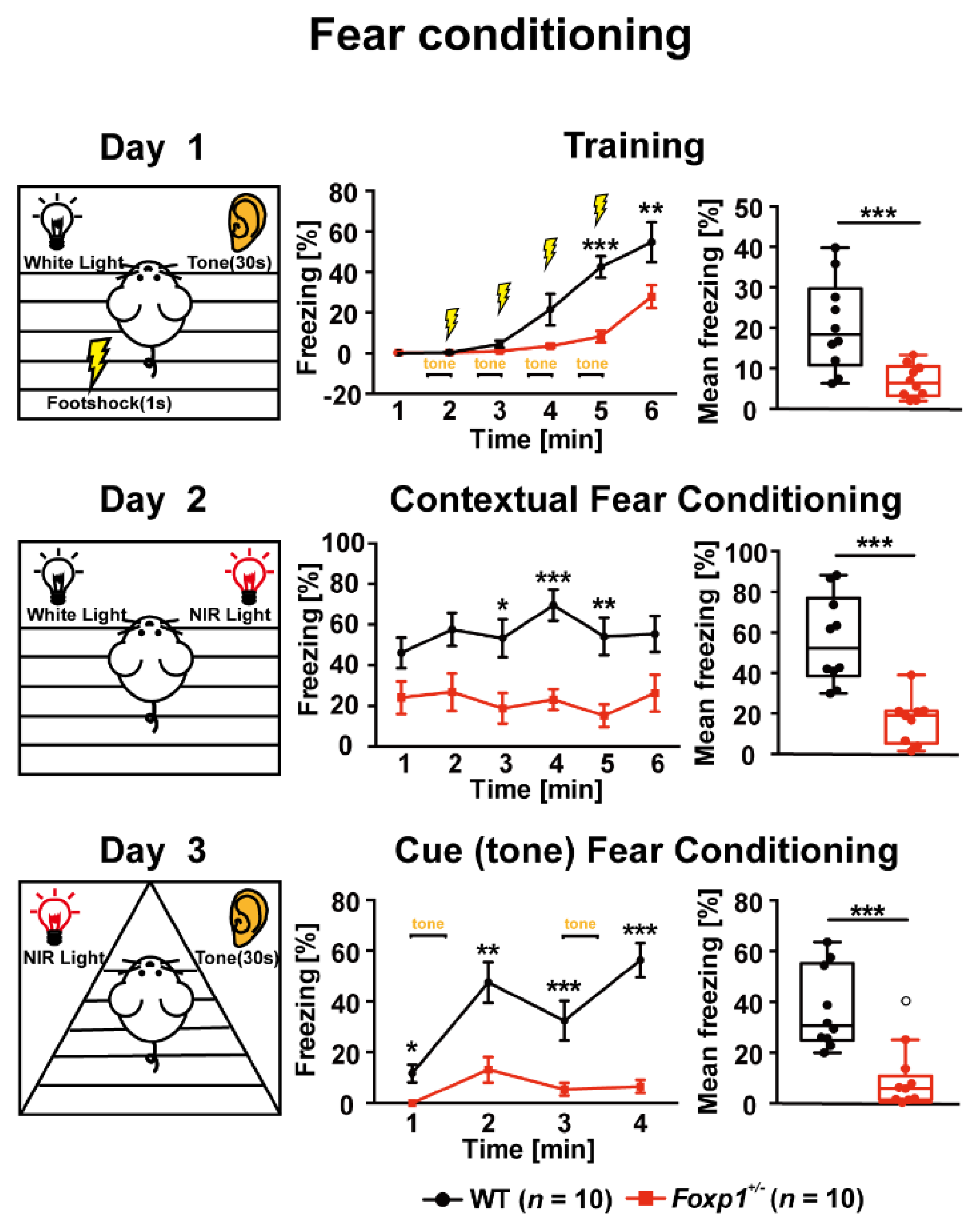 Genes 13 00127 g001 550