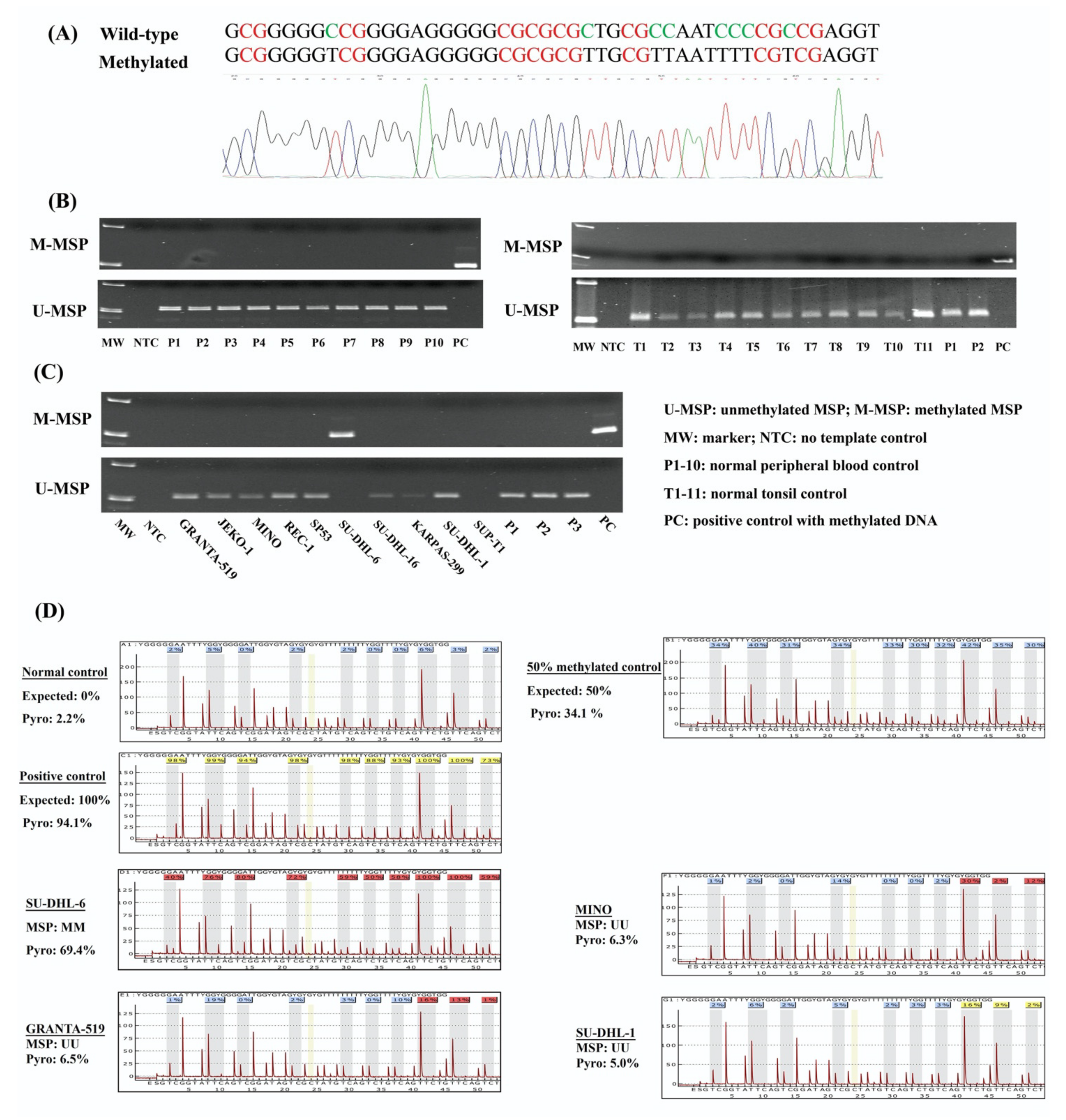 Genes 13 00128 g001