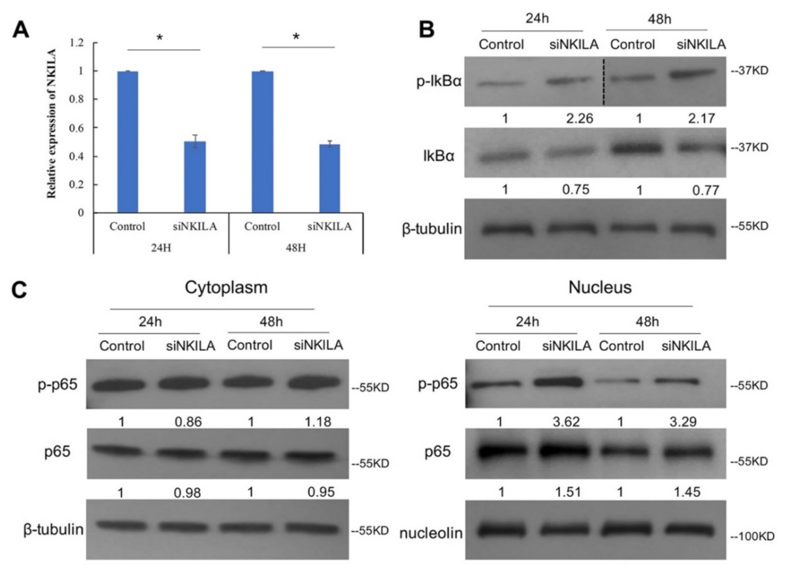 Genes 13 00128 g004