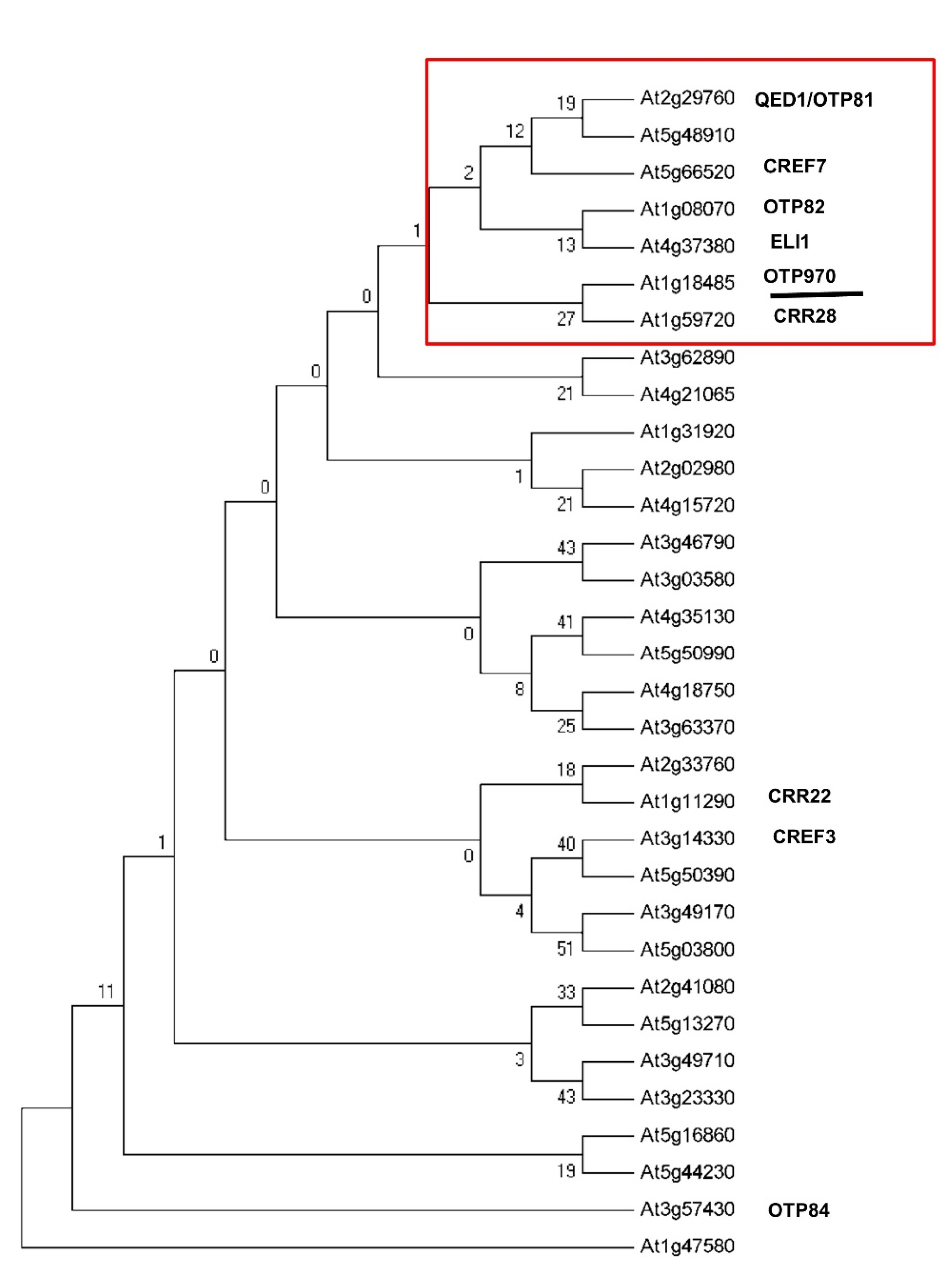 Genes 13 00139 g001 Genes 13 00139 g001