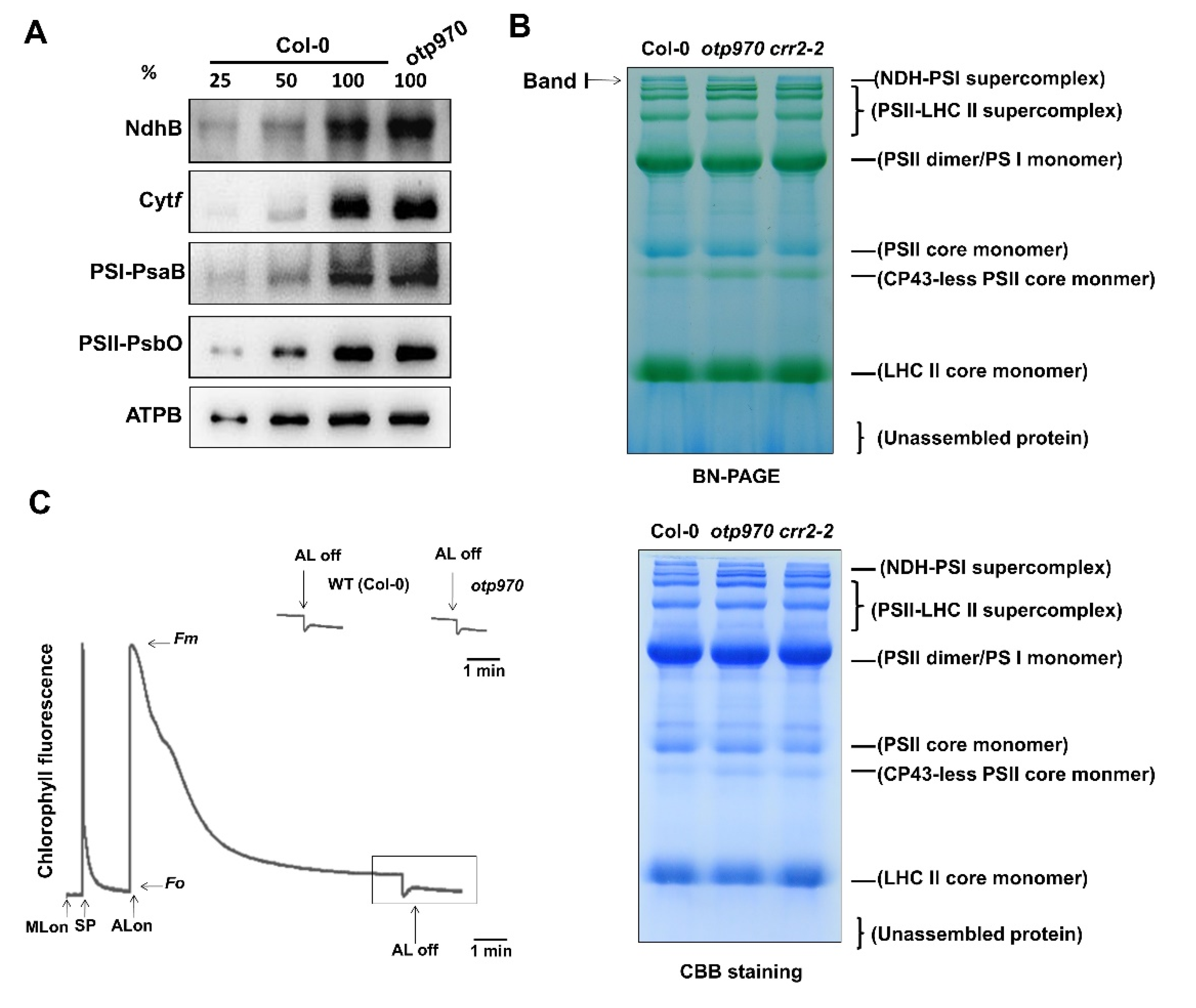 Genes 13 00139 g004 Genes 13 00139 g004